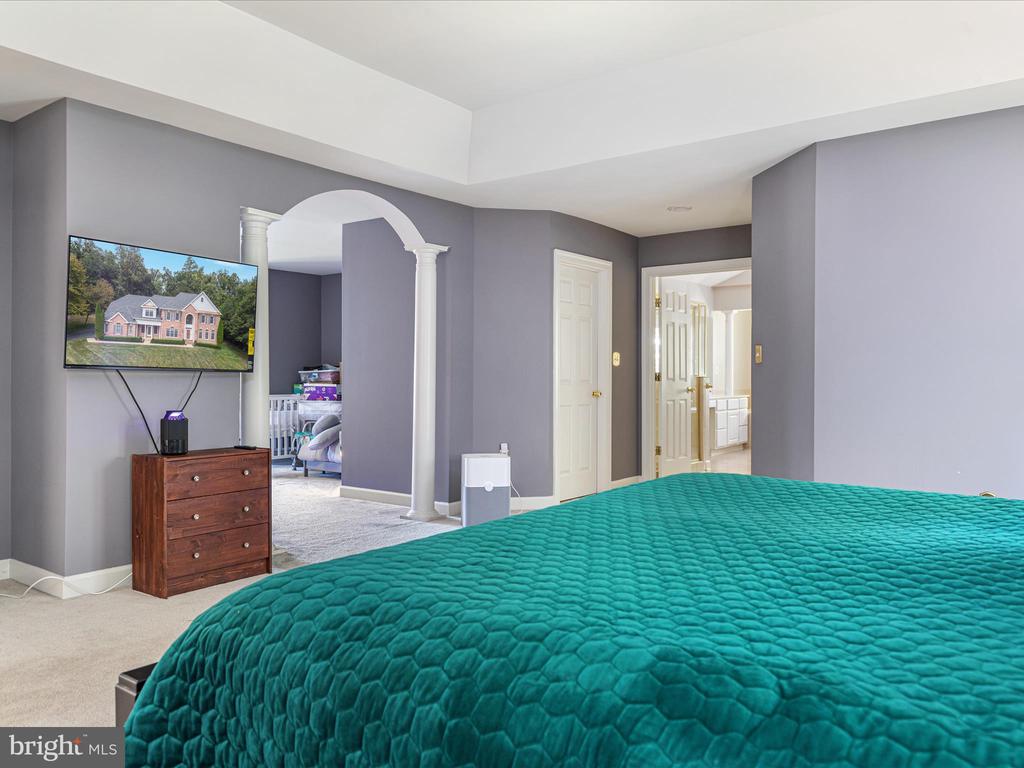10117 CARLINGTON VALLEY COURT