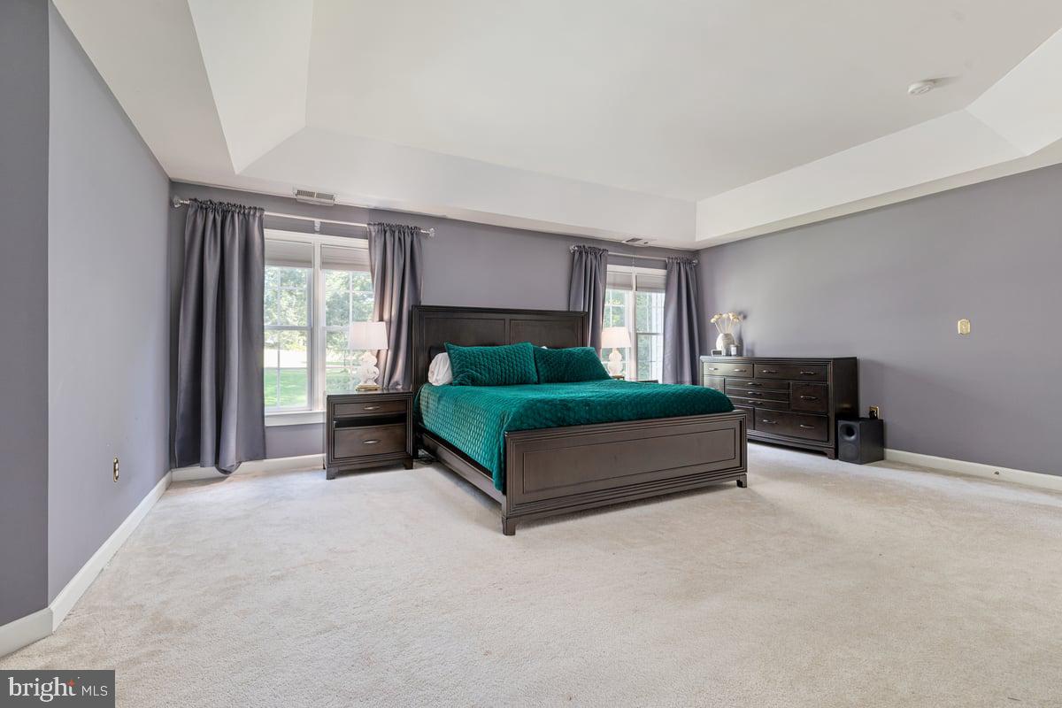 10117 CARLINGTON VALLEY COURT