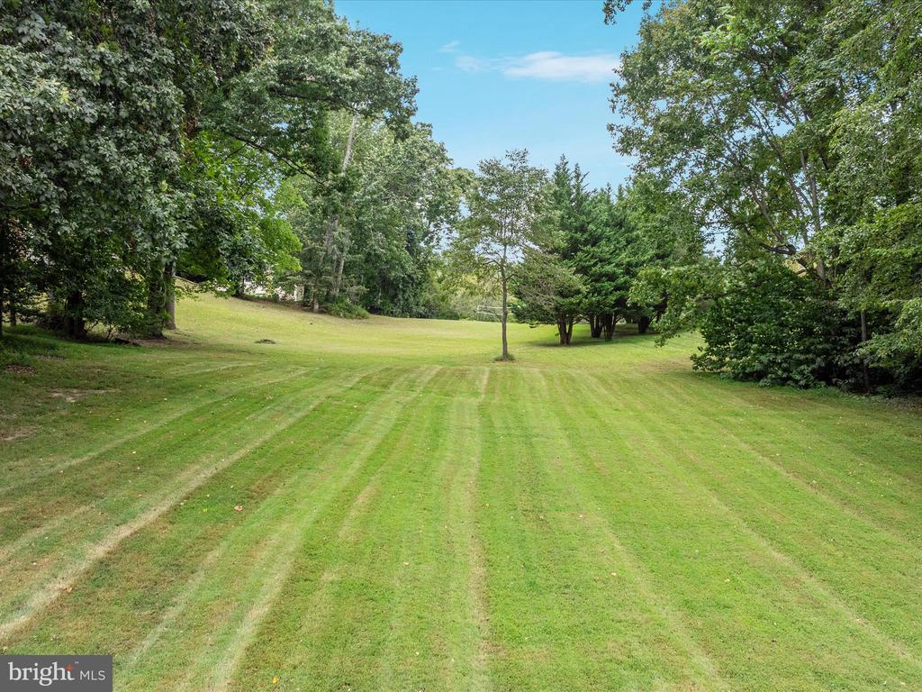 10117 CARLINGTON VALLEY COURT
