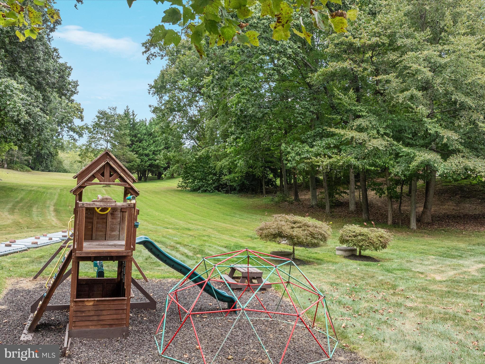 10117 CARLINGTON VALLEY COURT