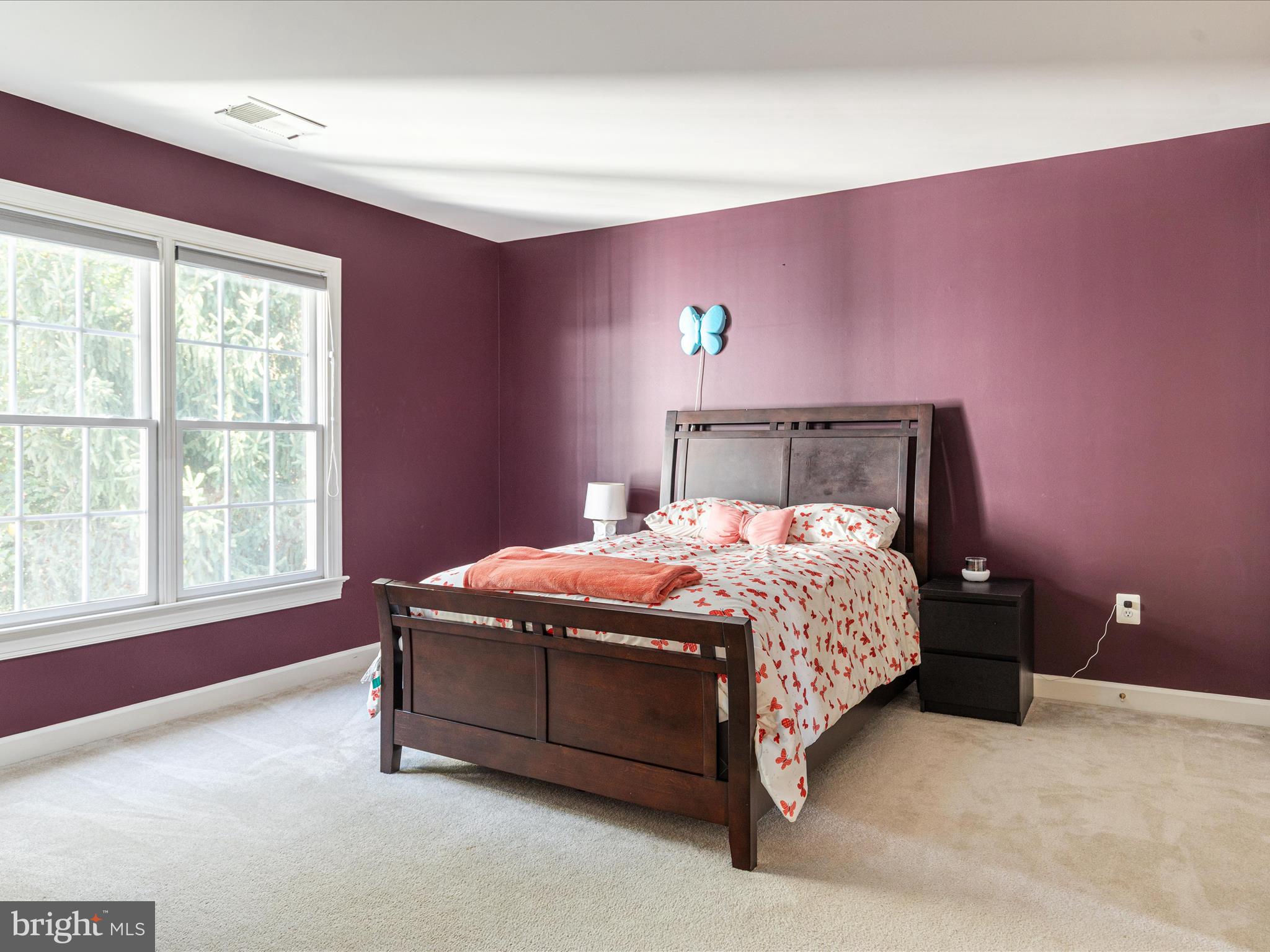 10117 CARLINGTON VALLEY COURT