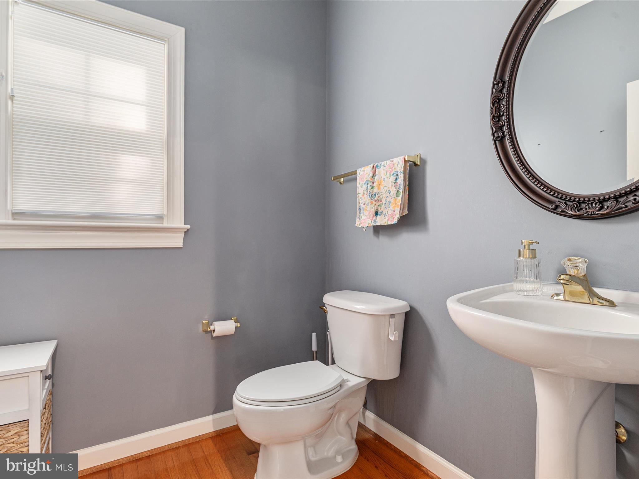 10117 CARLINGTON VALLEY COURT