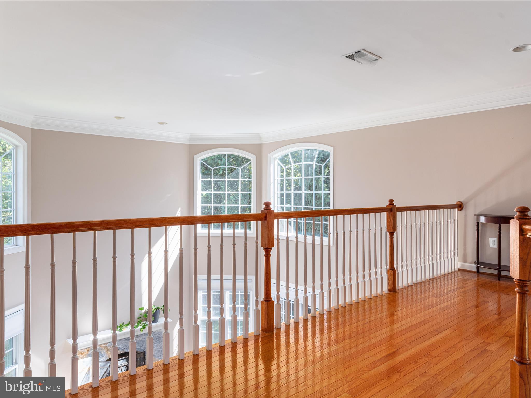 10117 CARLINGTON VALLEY COURT