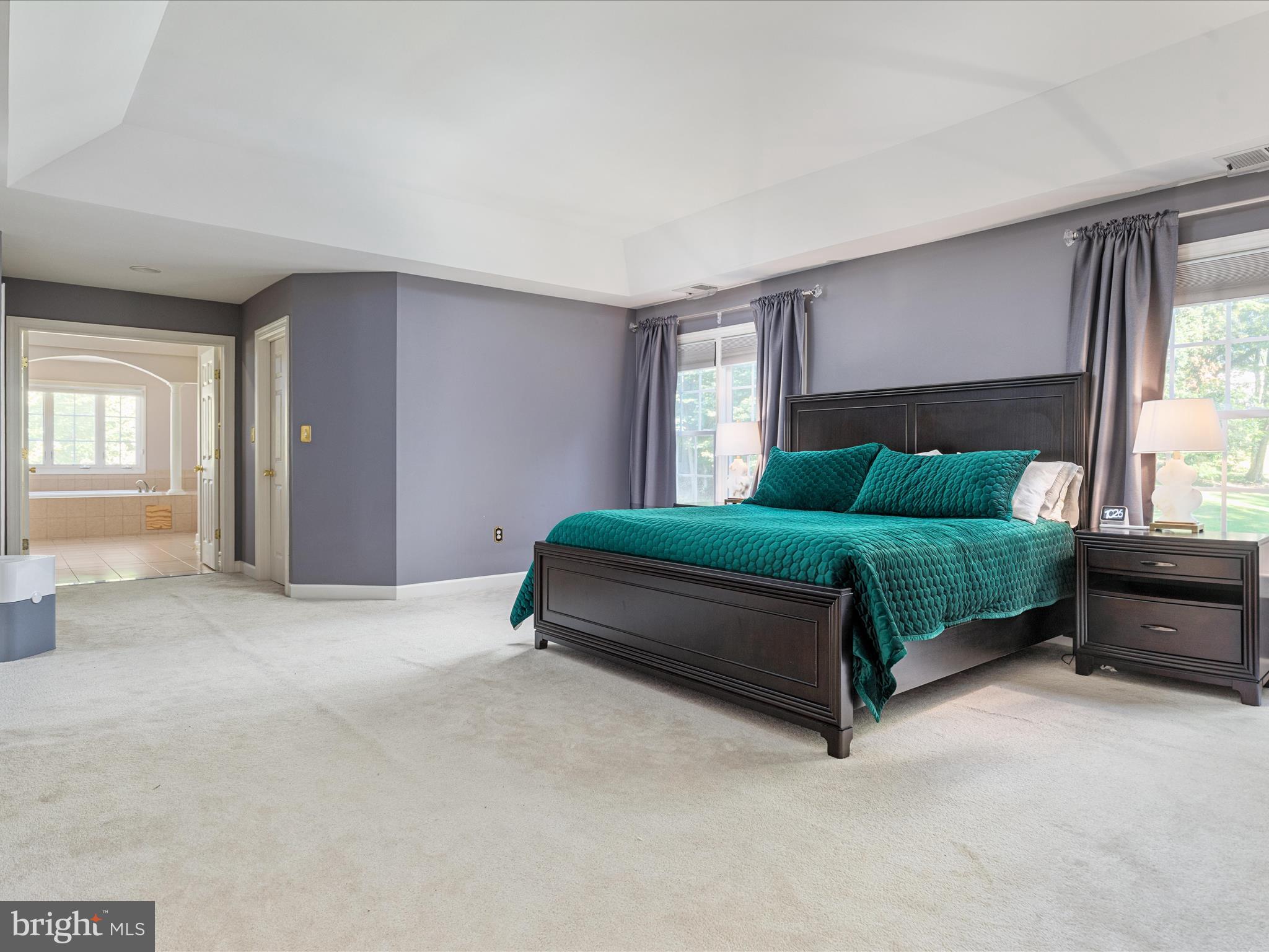 10117 CARLINGTON VALLEY COURT