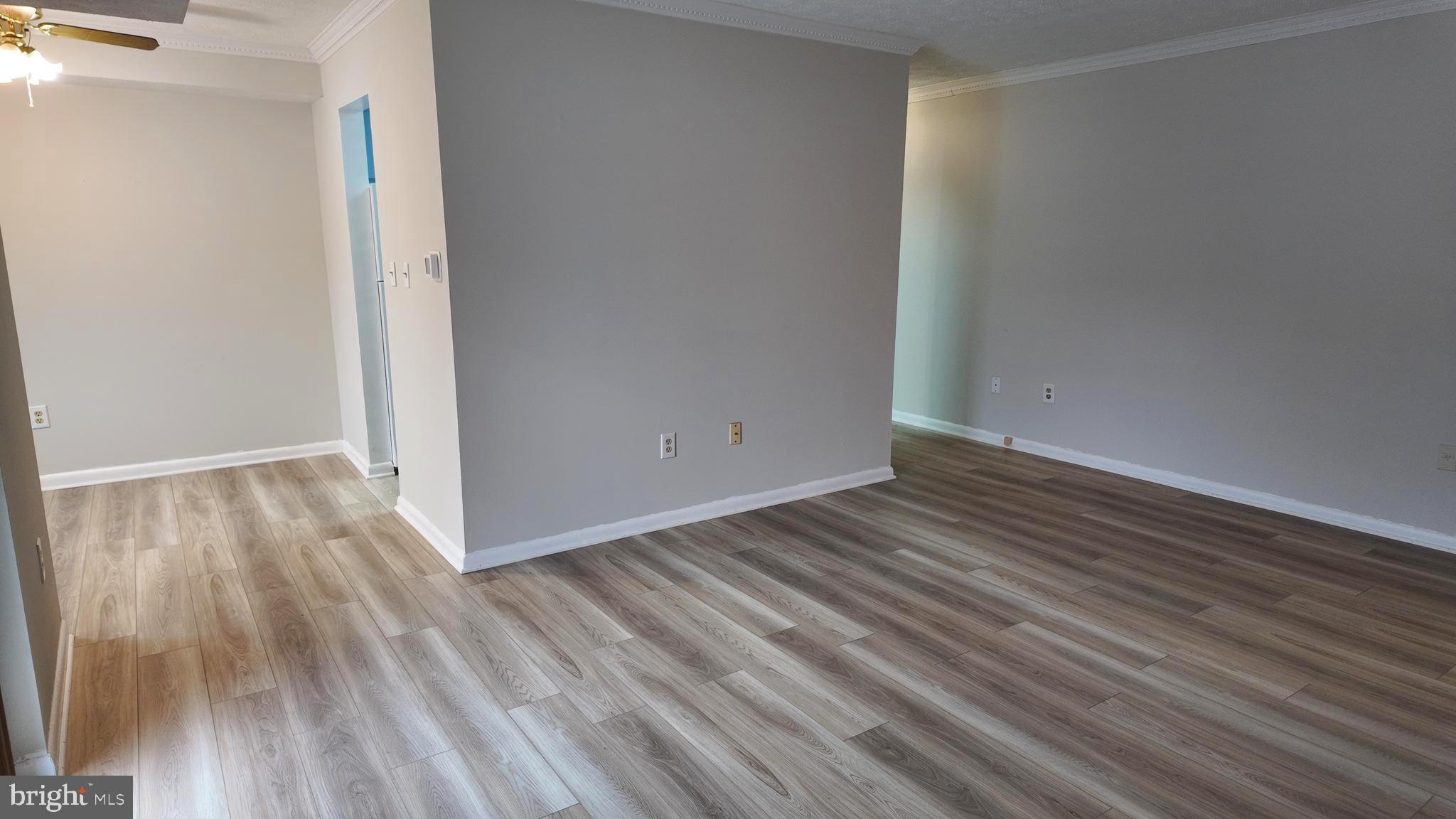 1523 COLONIAL DRIVE 204