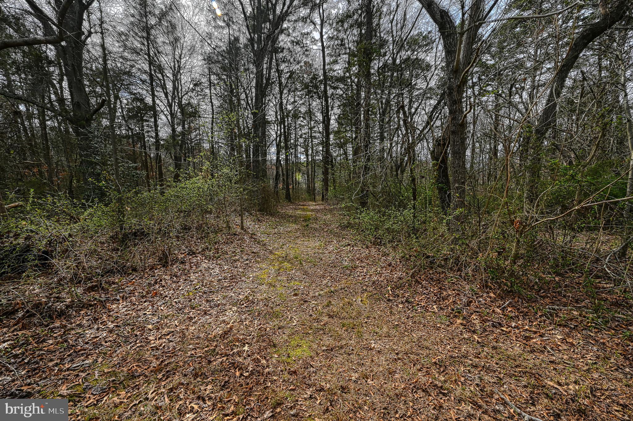 3944 LEWISTON ROAD