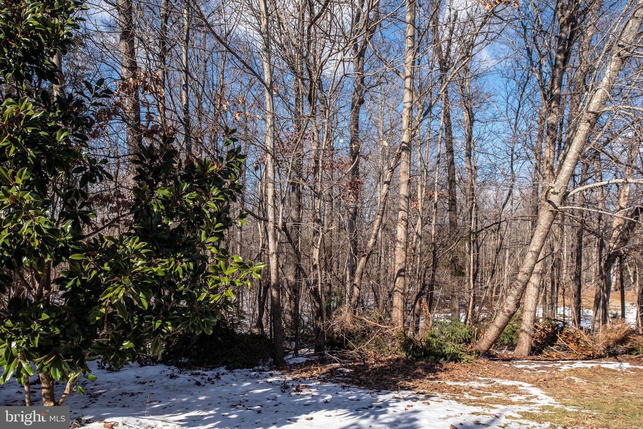 12002 MEADOW BRANCH WAY