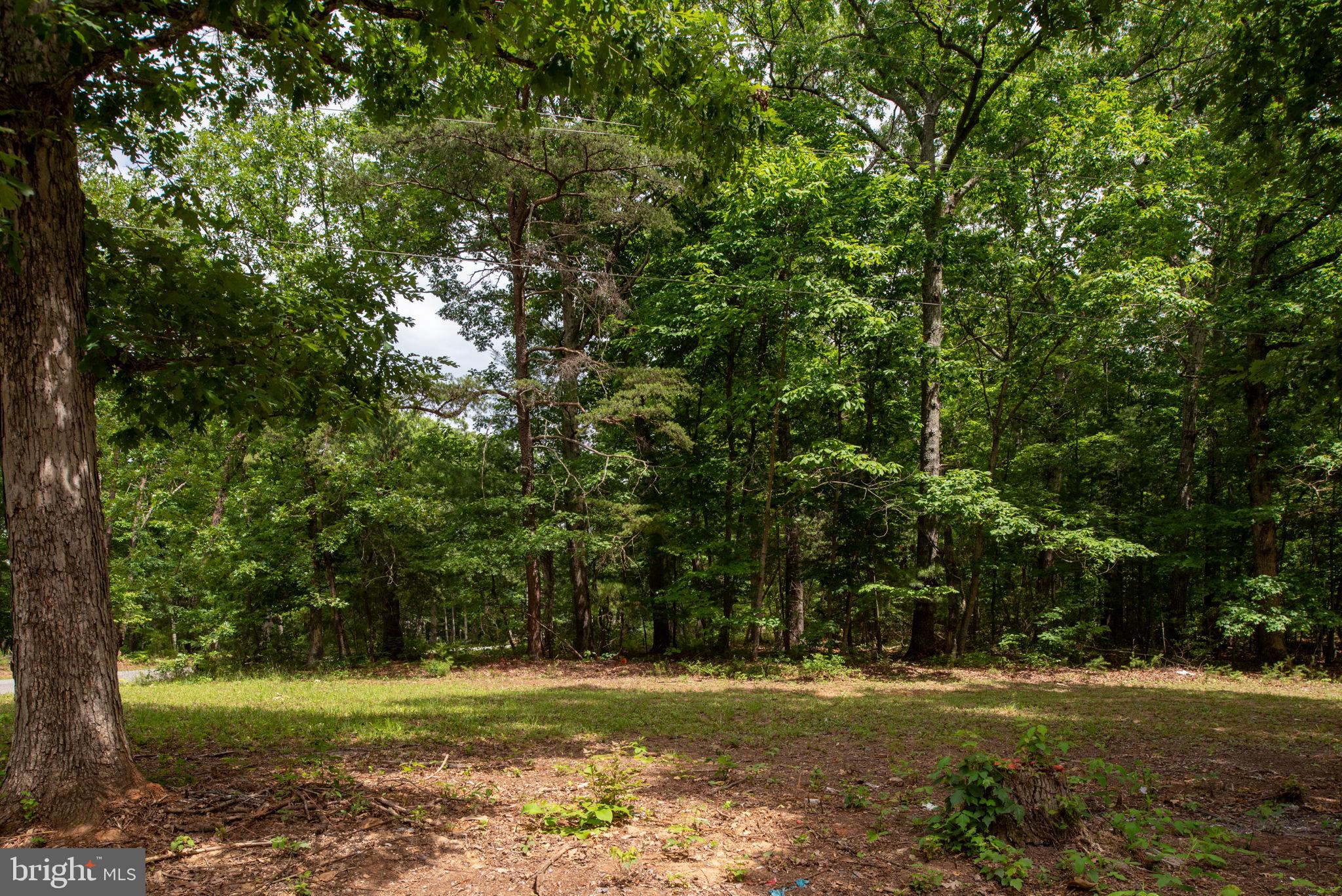 13604 BLACK MEADOW ROAD