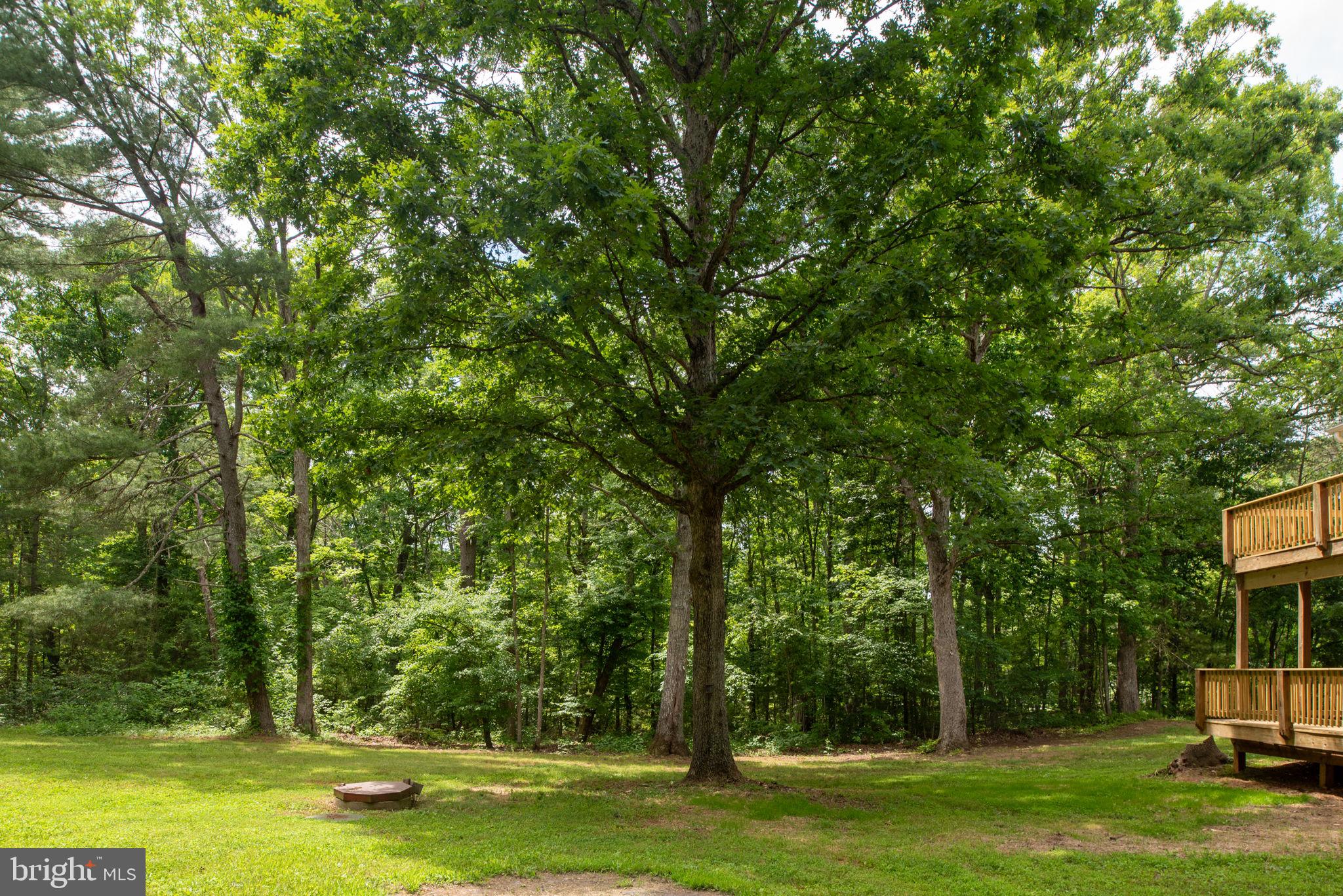 13604 BLACK MEADOW ROAD