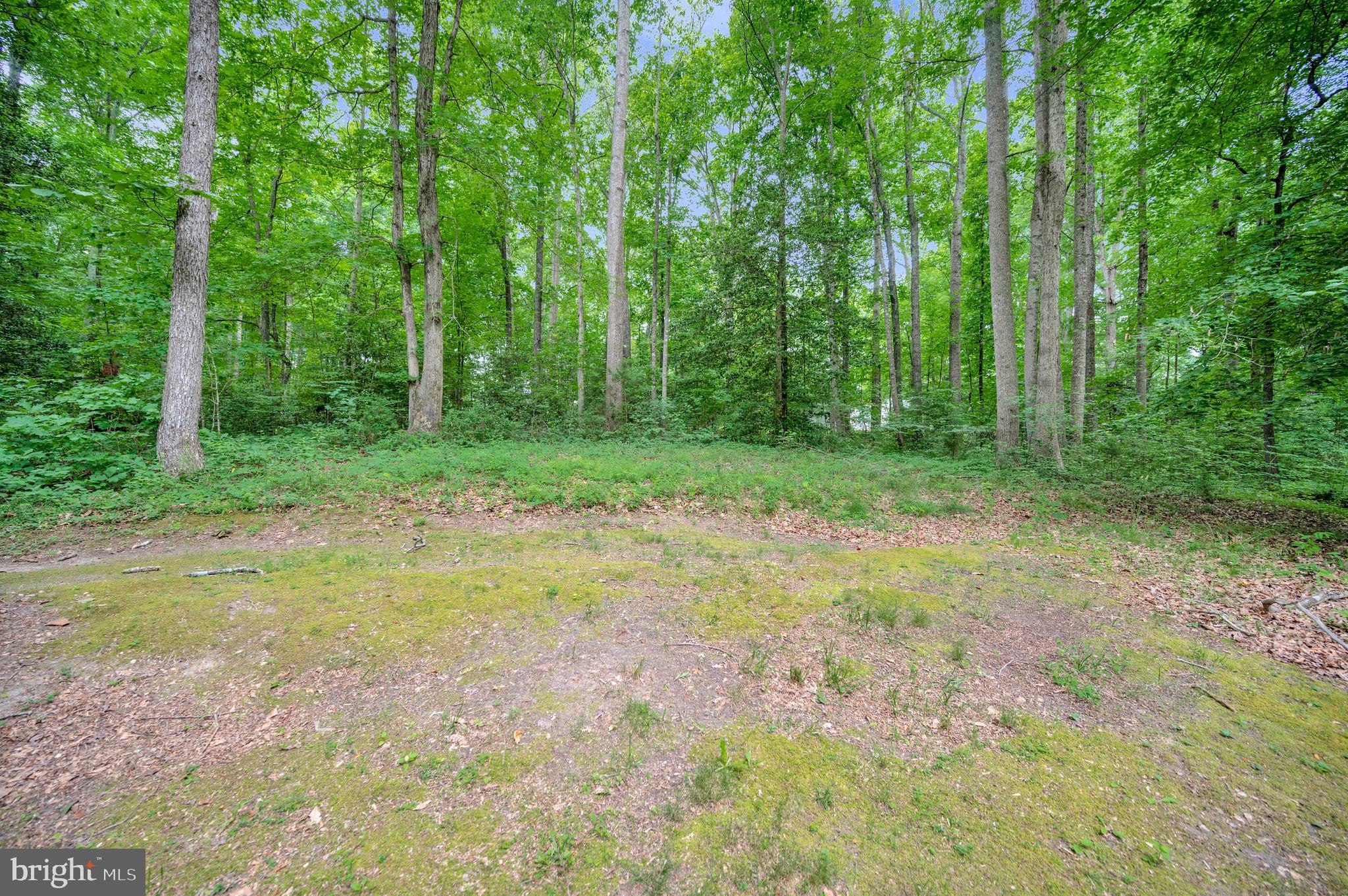 3036 PATRIOT LANE