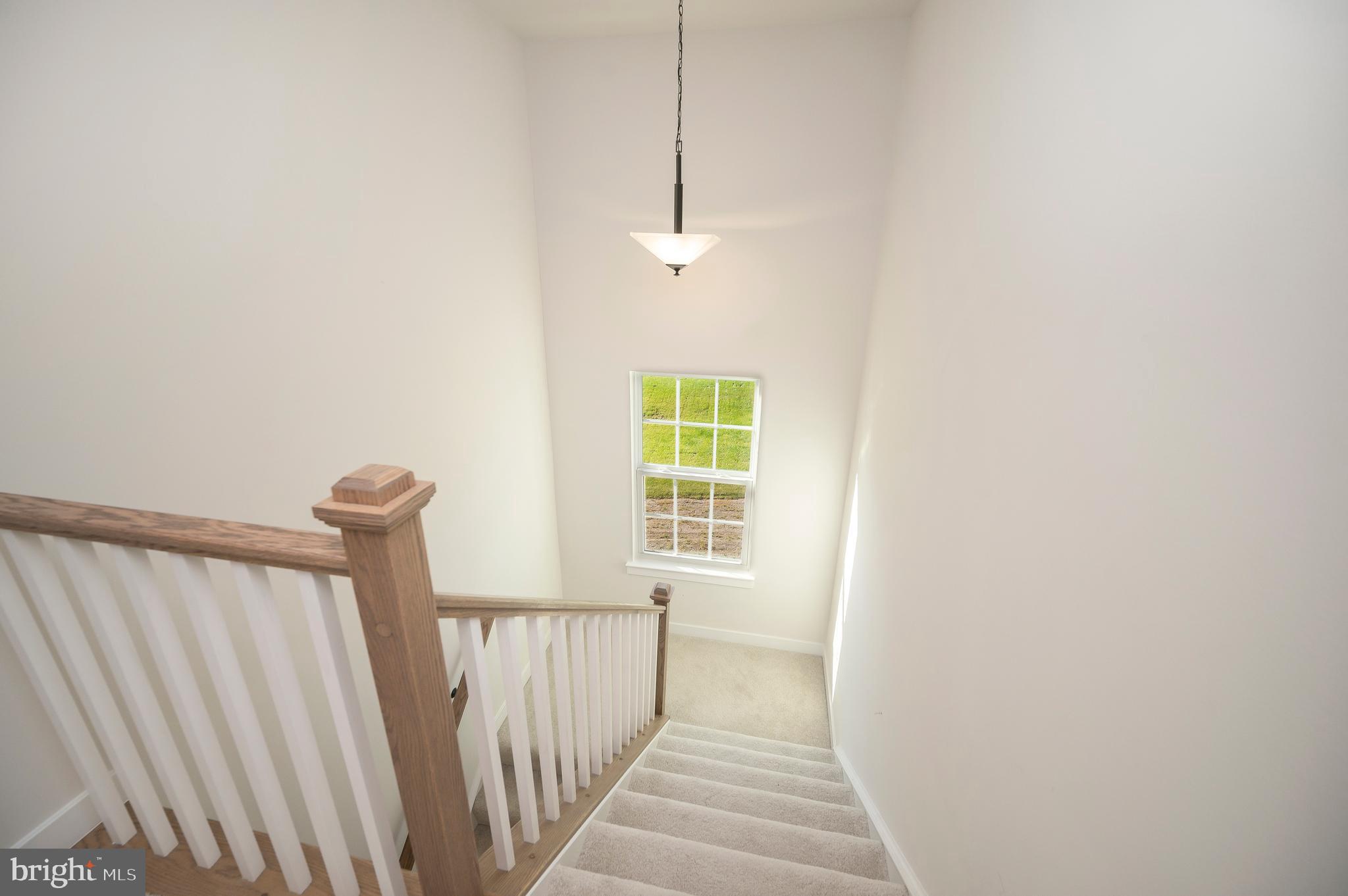 8803 ZOE COURT