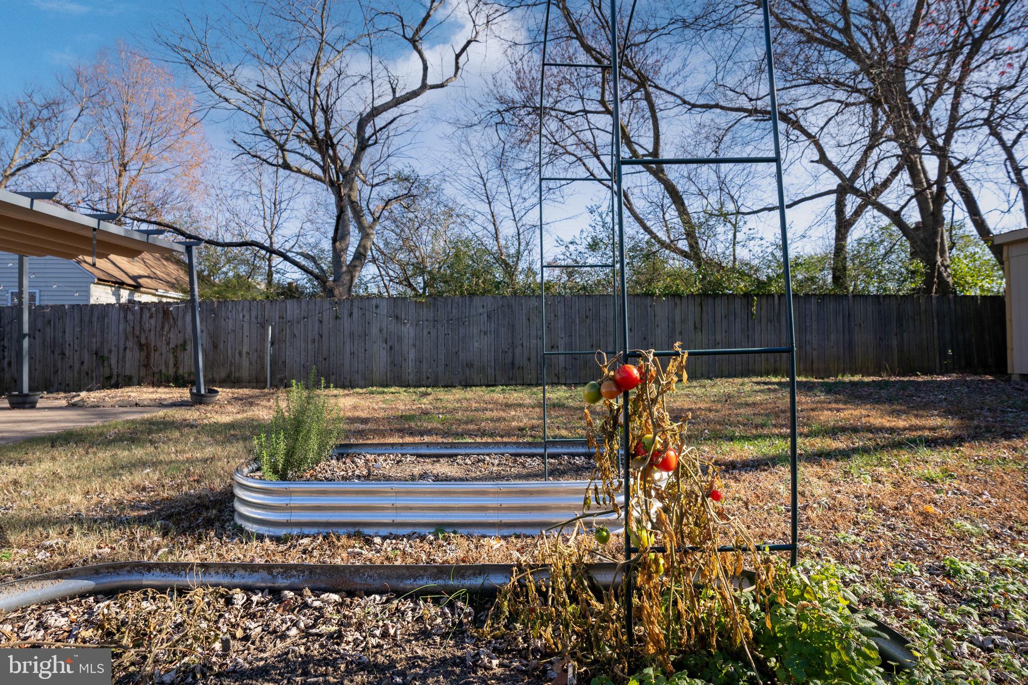 113 BEAUREGARD STREET