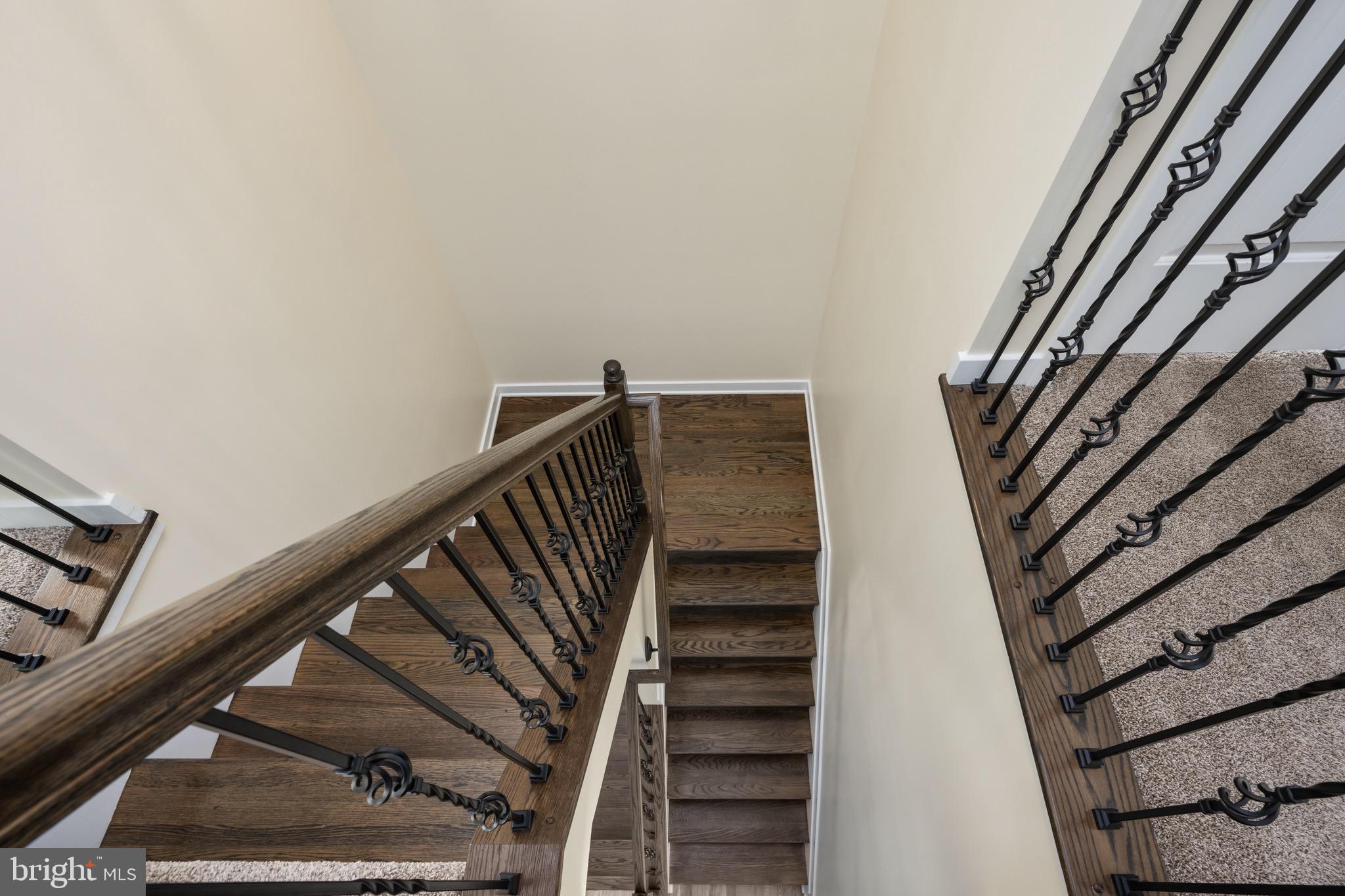 10811 HONORABLE COURT