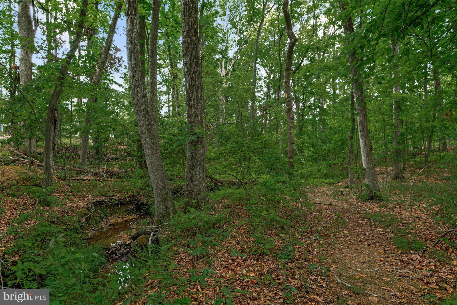 6607 GOLDEN PHEASANT RUN