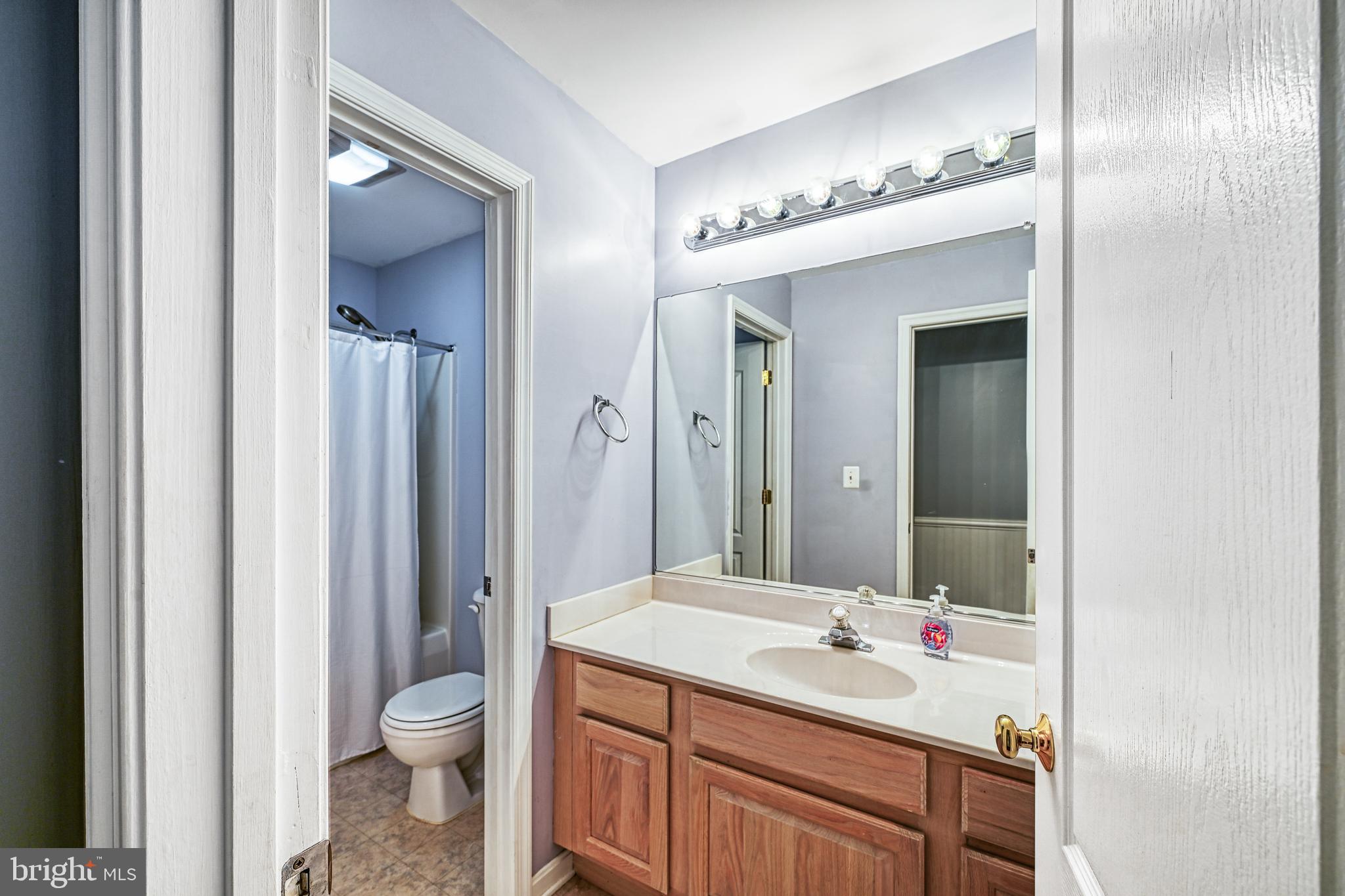 15513 CHESTNUT TREE COURT