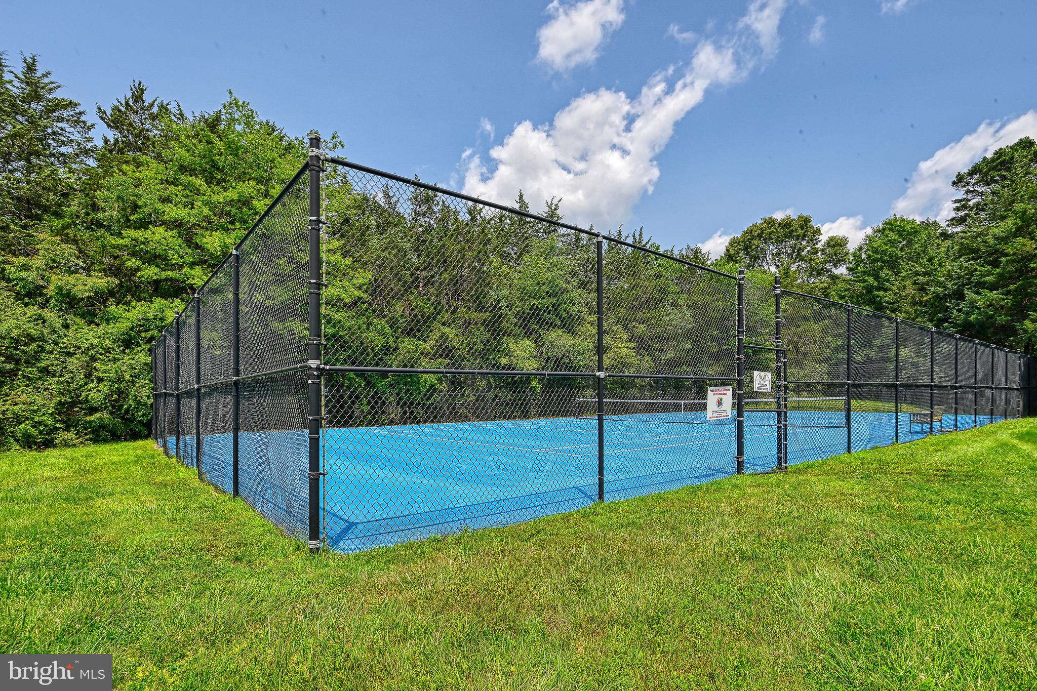 15513 CHESTNUT TREE COURT