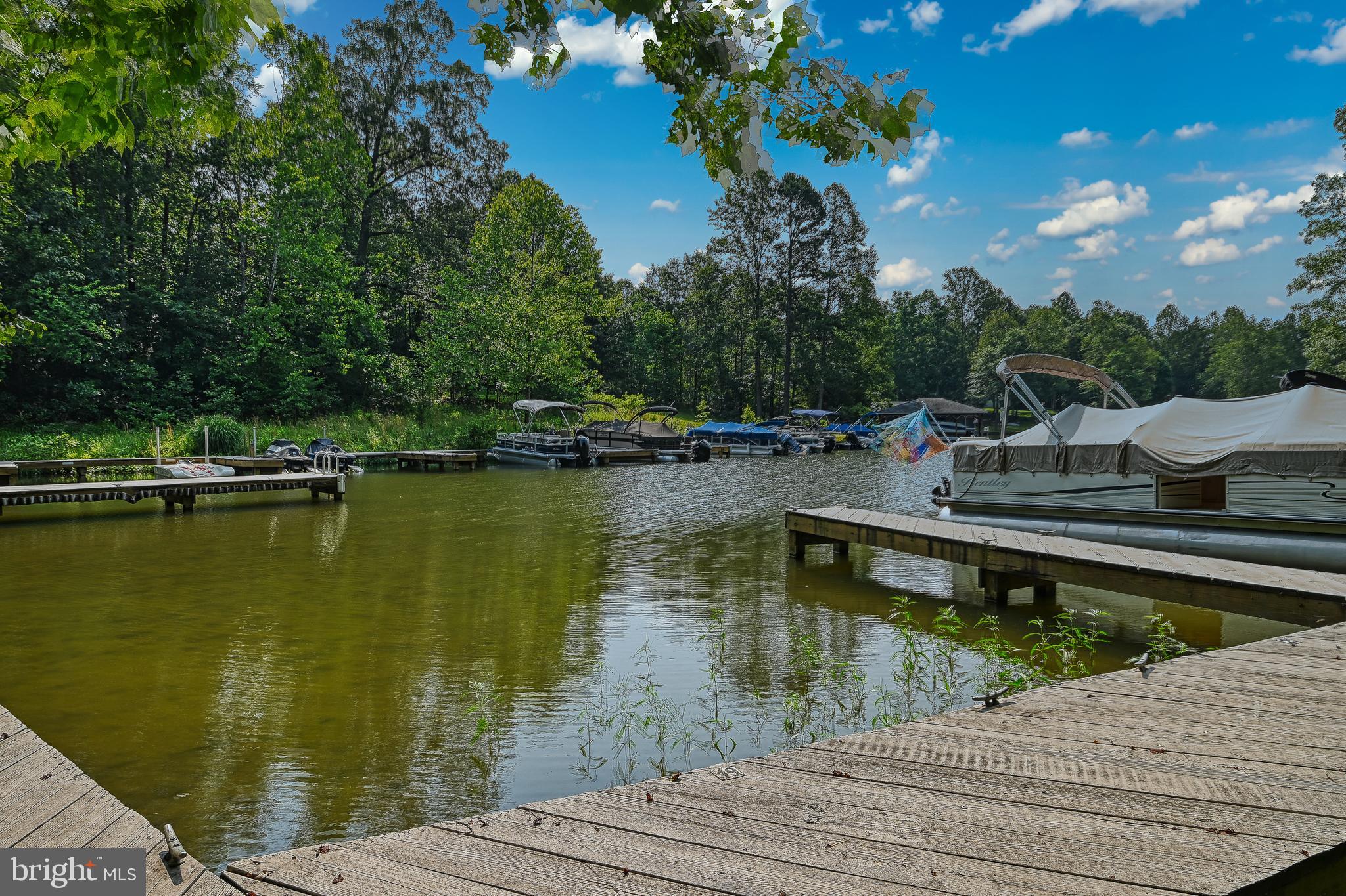15513 CHESTNUT TREE COURT