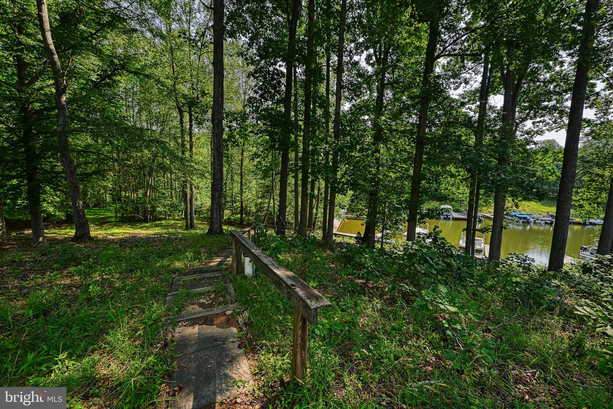 15513 CHESTNUT TREE COURT