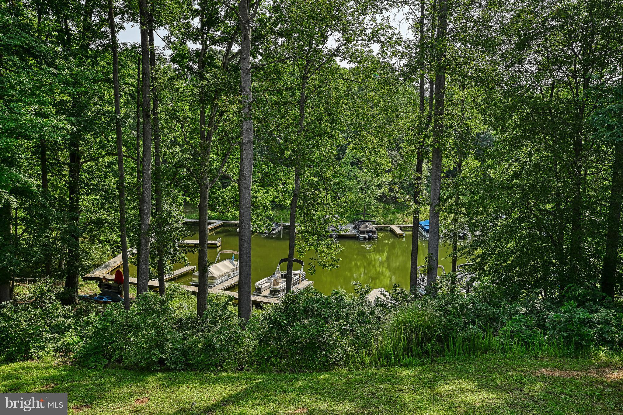 15513 CHESTNUT TREE COURT