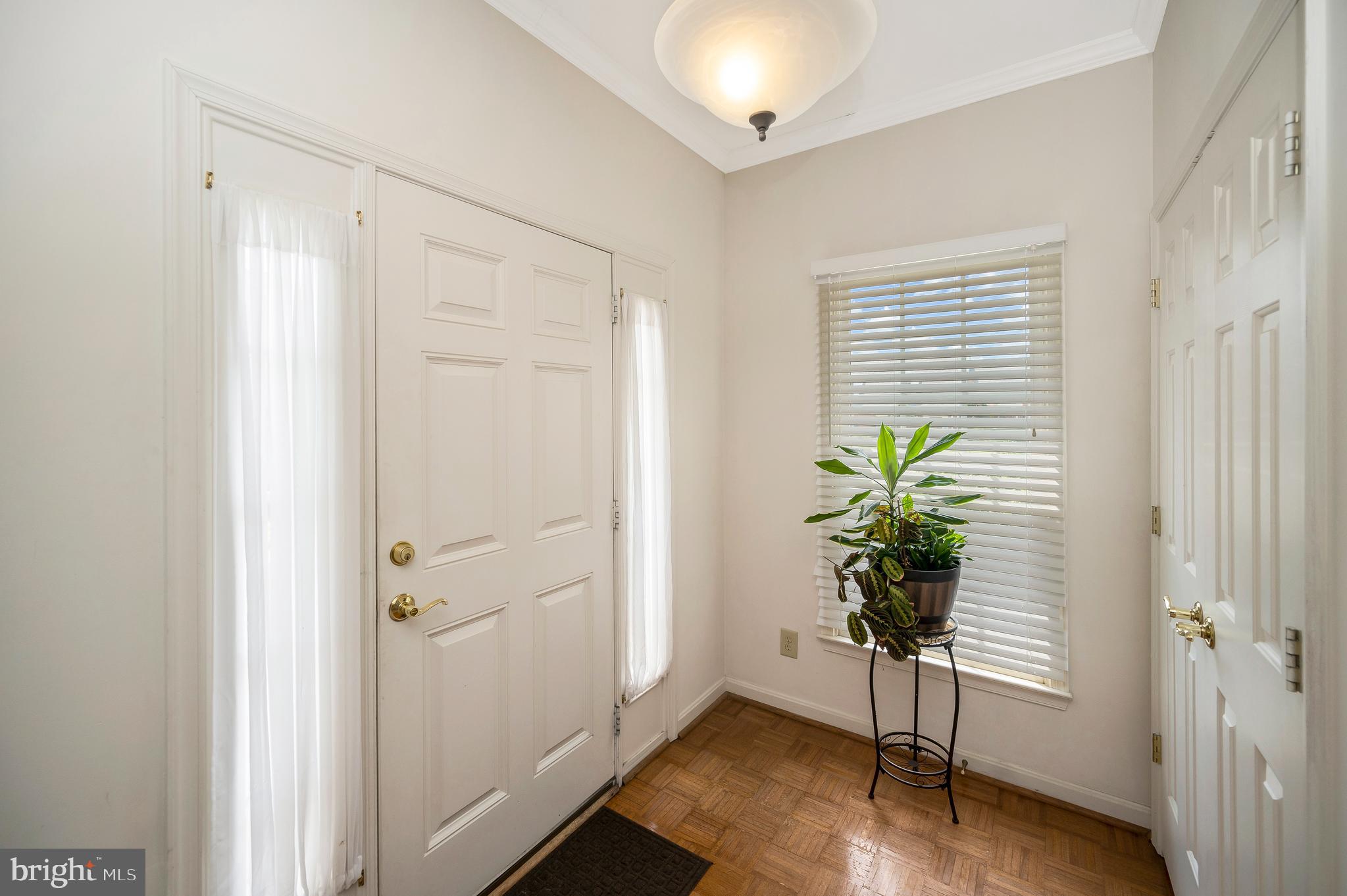 11311 MACON DRIVE