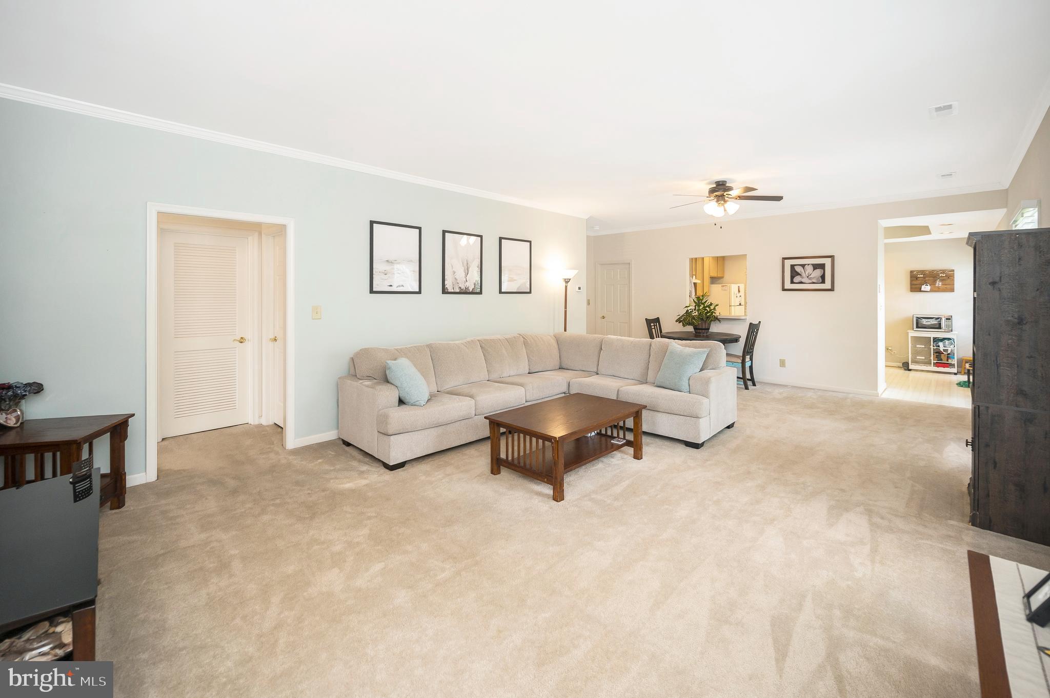 11311 MACON DRIVE