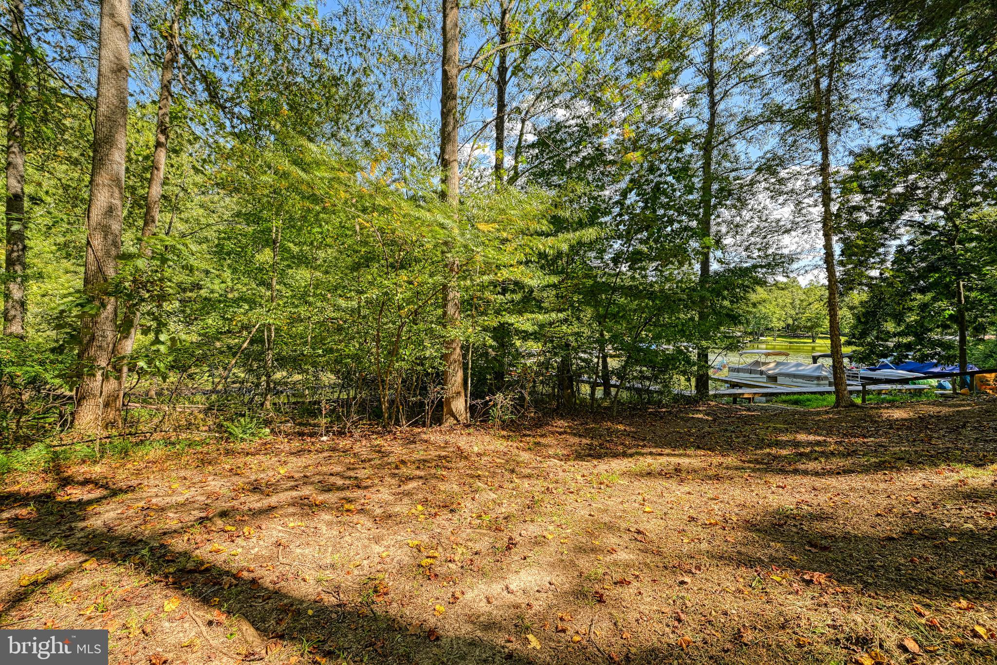 15515 CHESTNUT TREE COURT