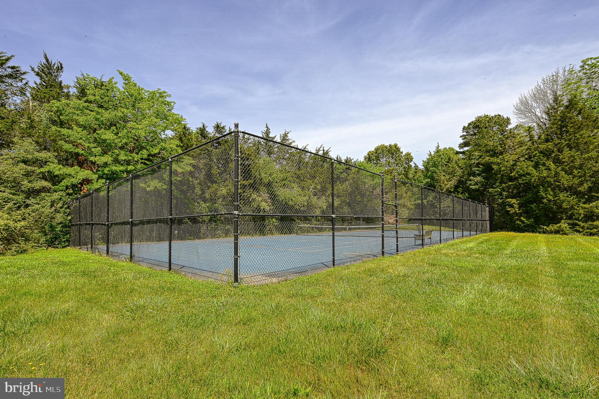 15515 CHESTNUT TREE COURT