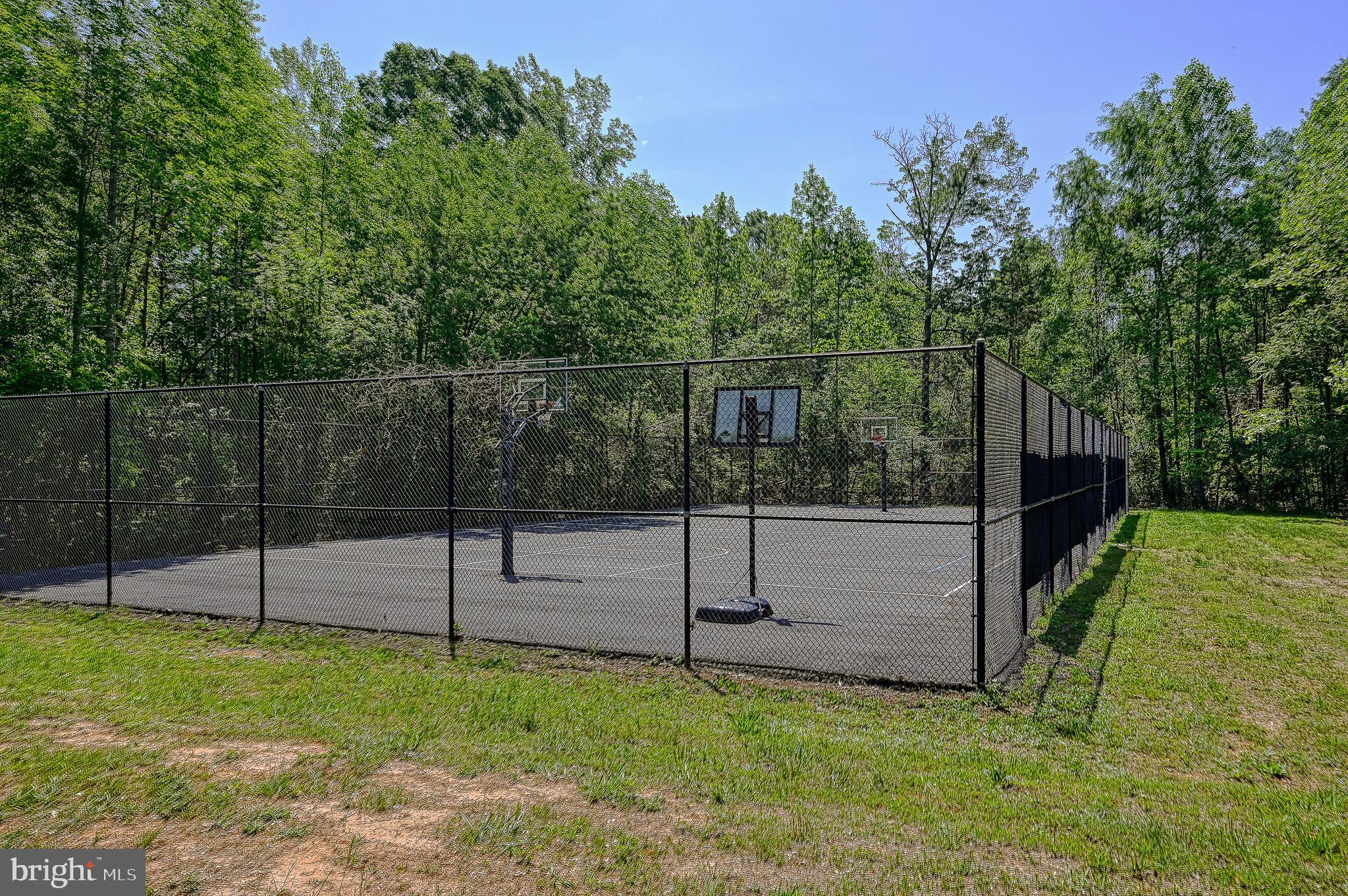 15515 CHESTNUT TREE COURT