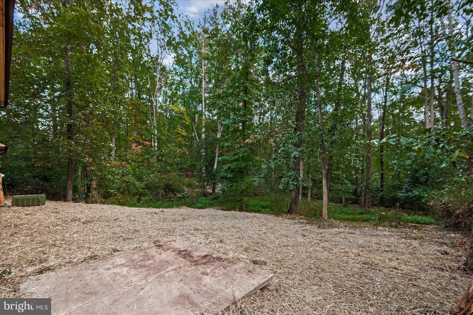 10711 ANN DAVIS DRIVE