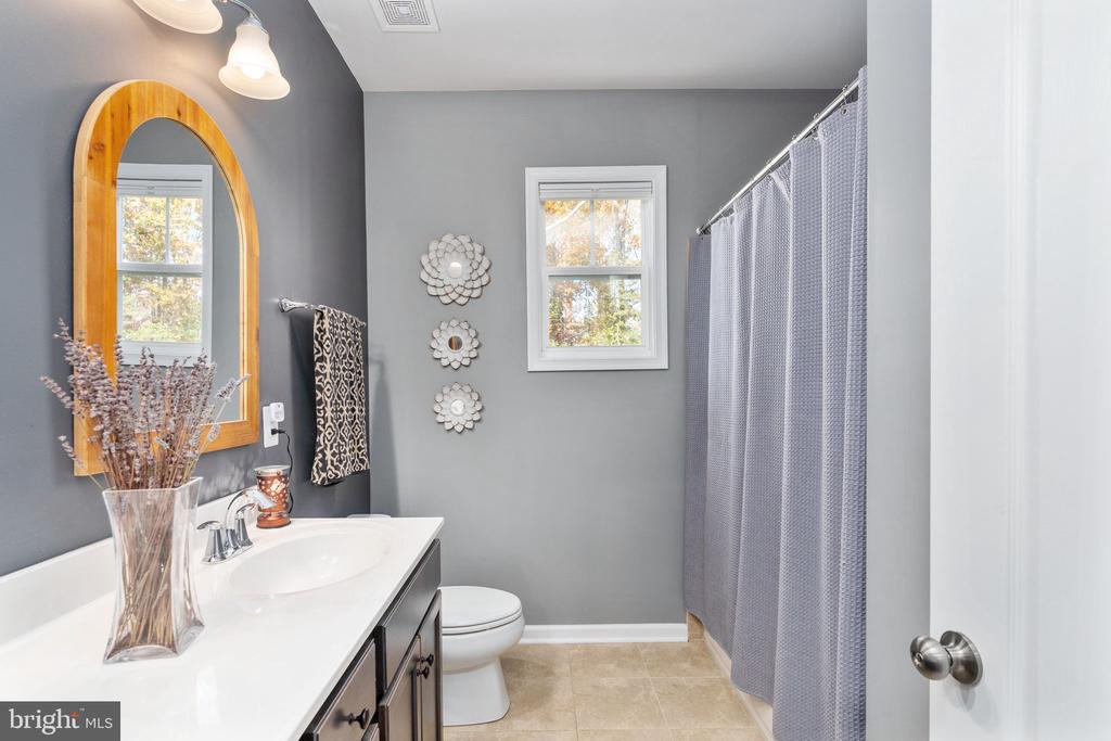 11411 STRIPED MAPLE COURT