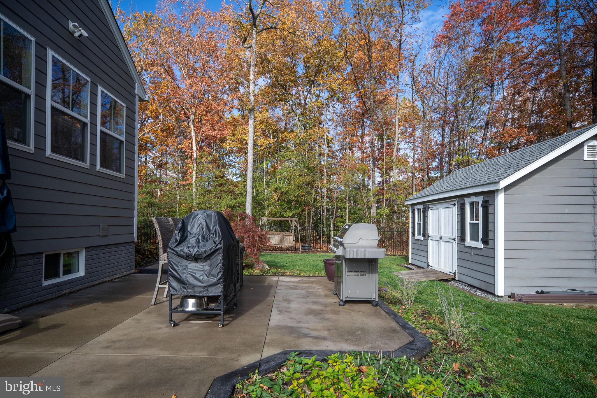 11411 STRIPED MAPLE COURT