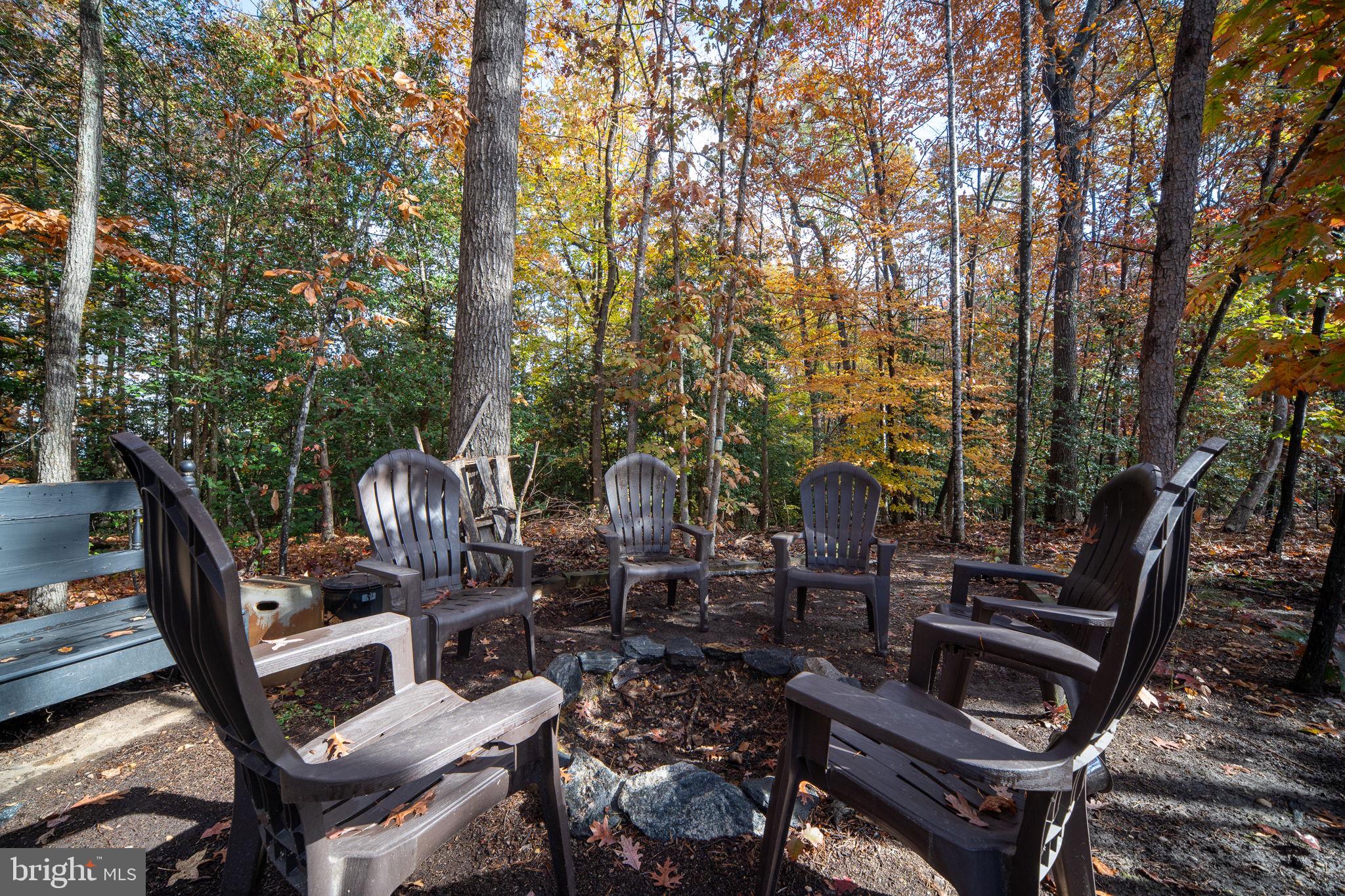 11411 STRIPED MAPLE COURT