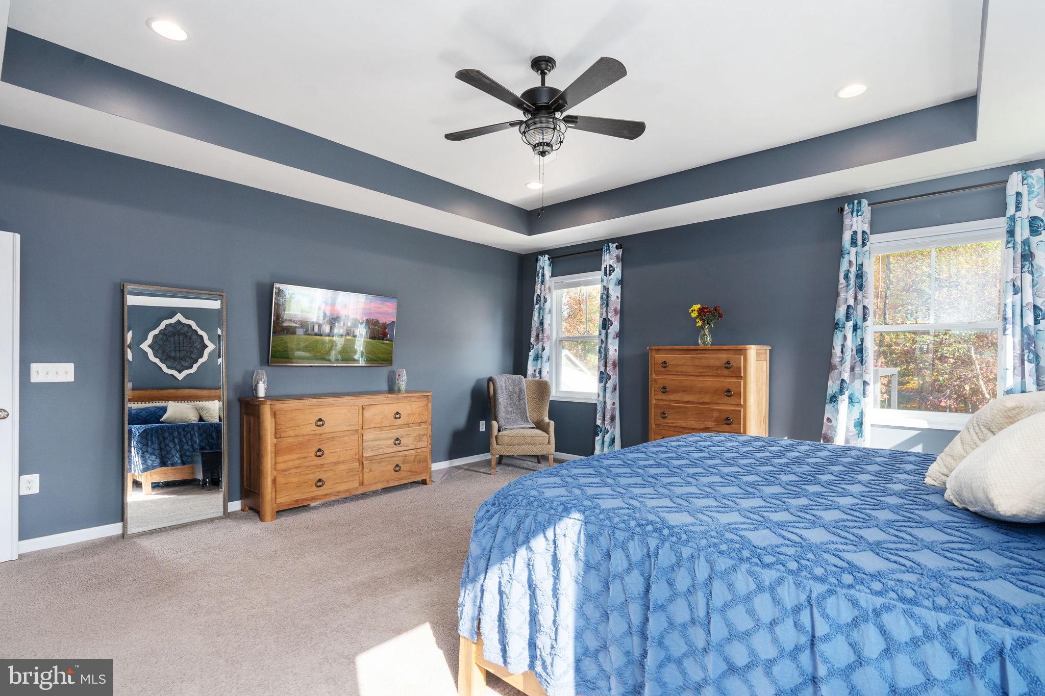 11411 STRIPED MAPLE COURT