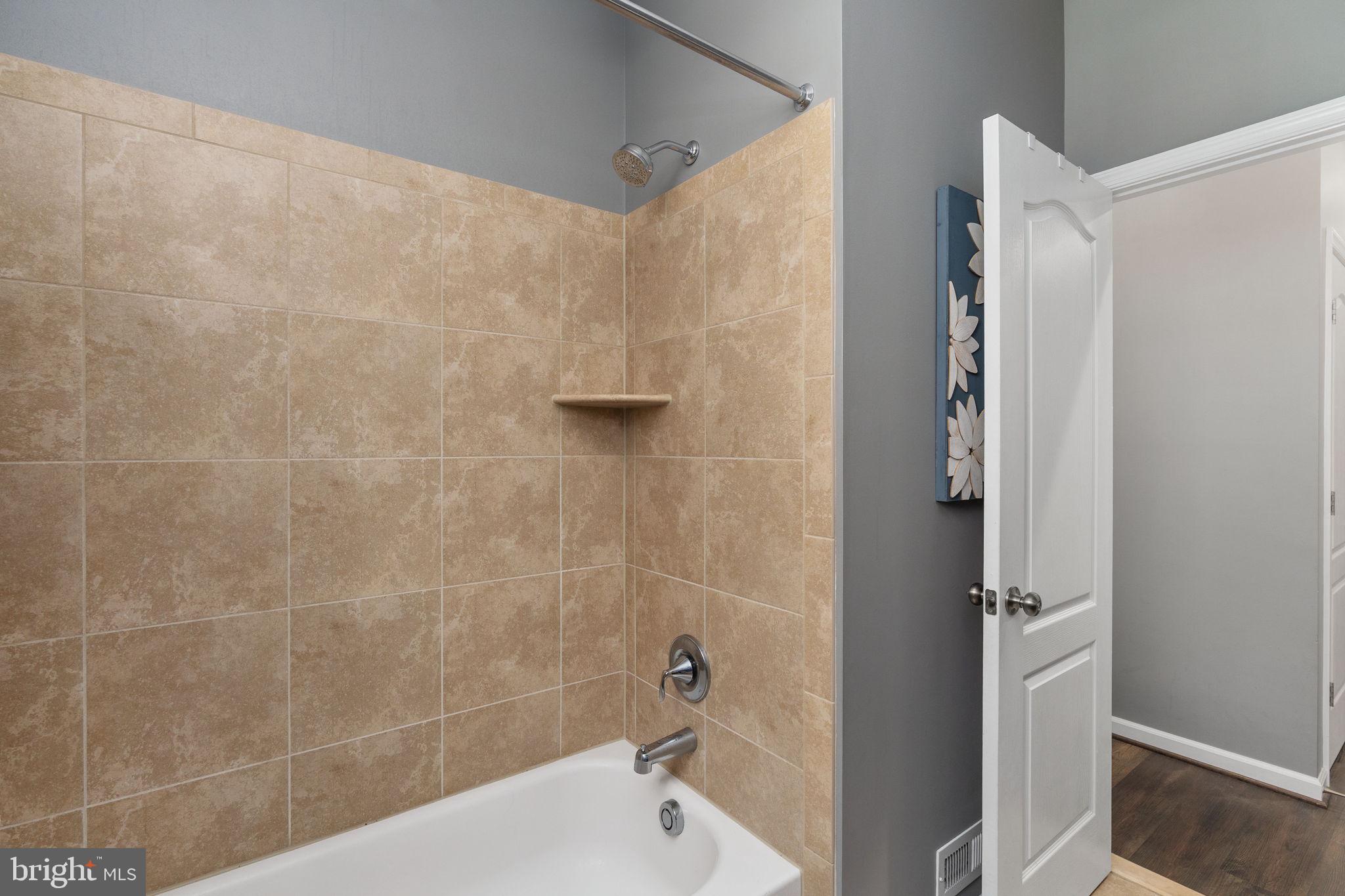 11411 STRIPED MAPLE COURT