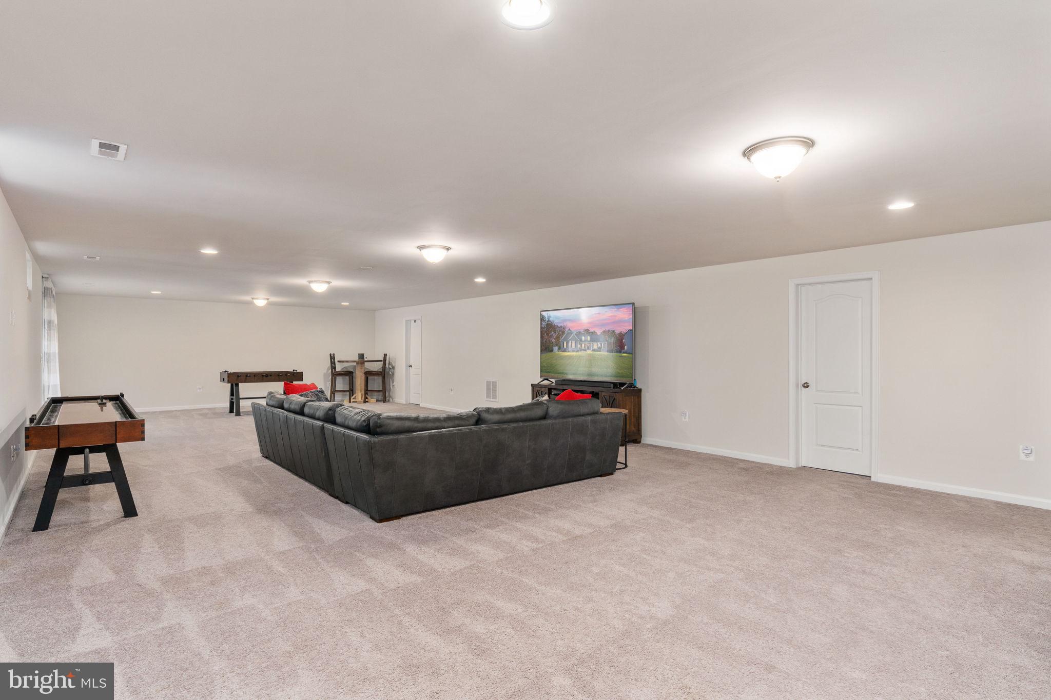 11411 STRIPED MAPLE COURT