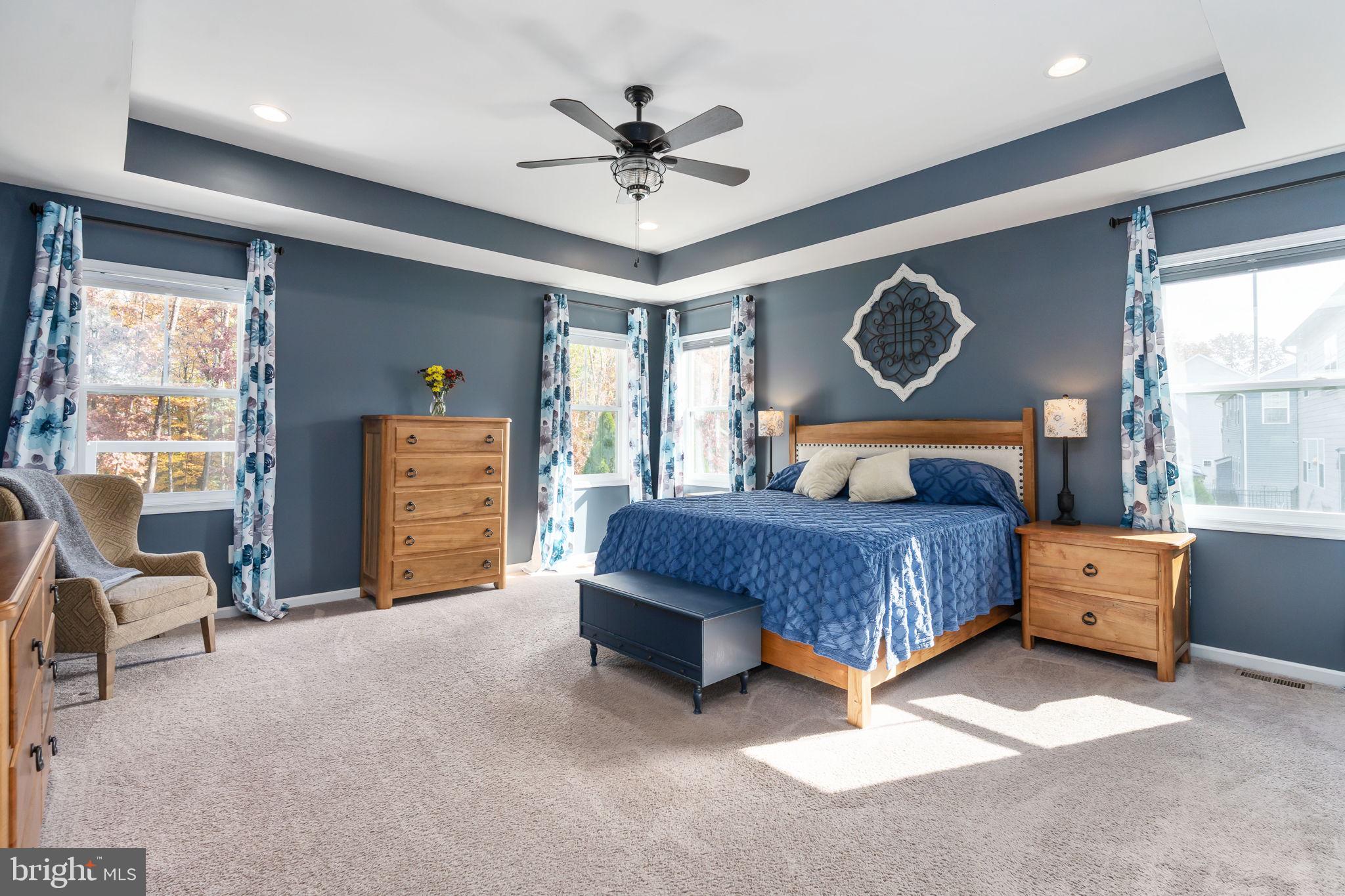 11411 STRIPED MAPLE COURT