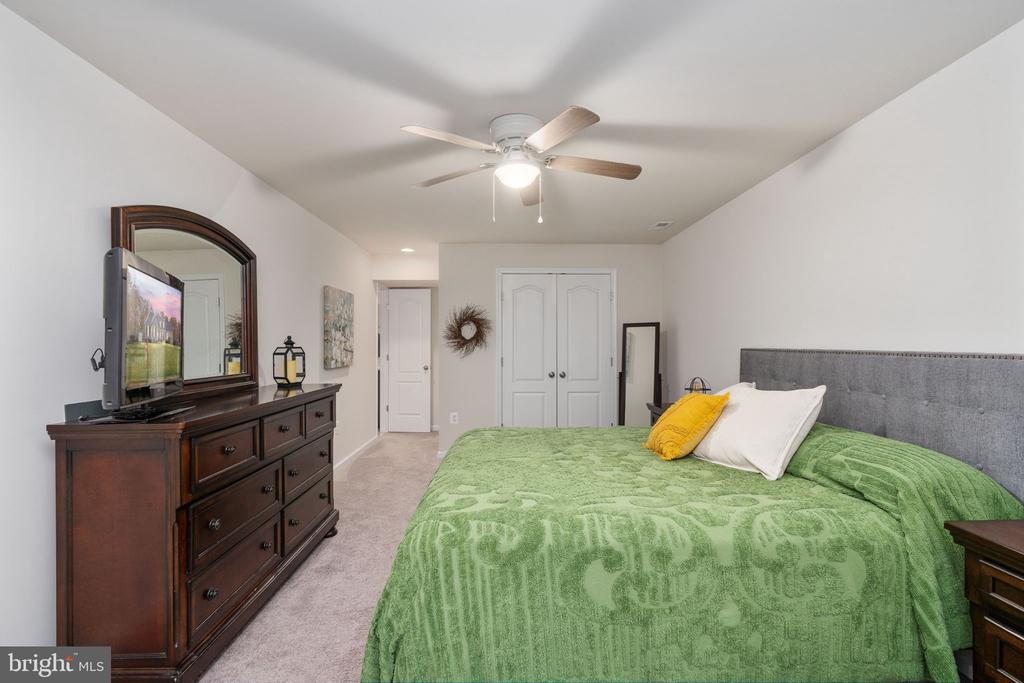 11411 STRIPED MAPLE COURT