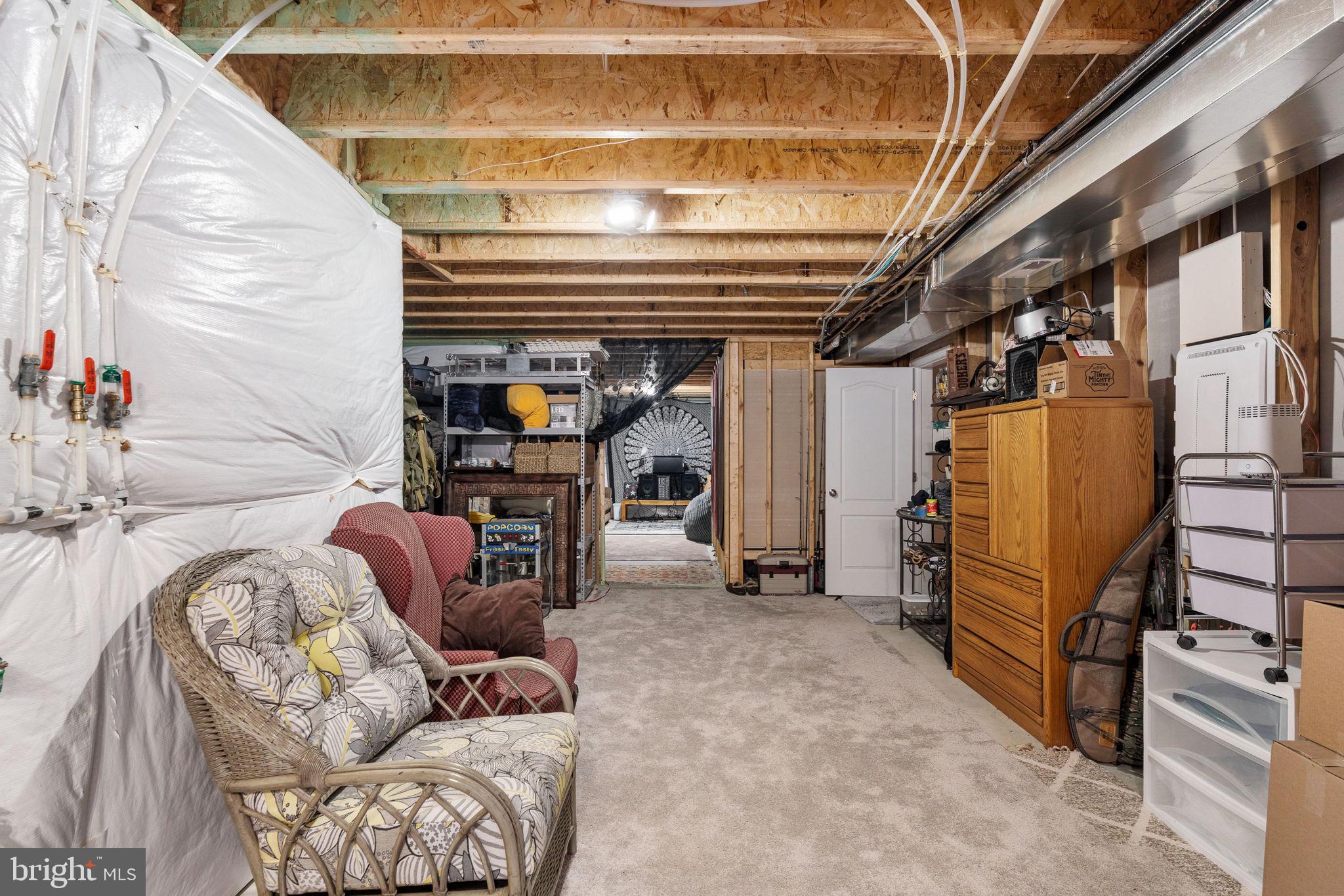 11411 STRIPED MAPLE COURT