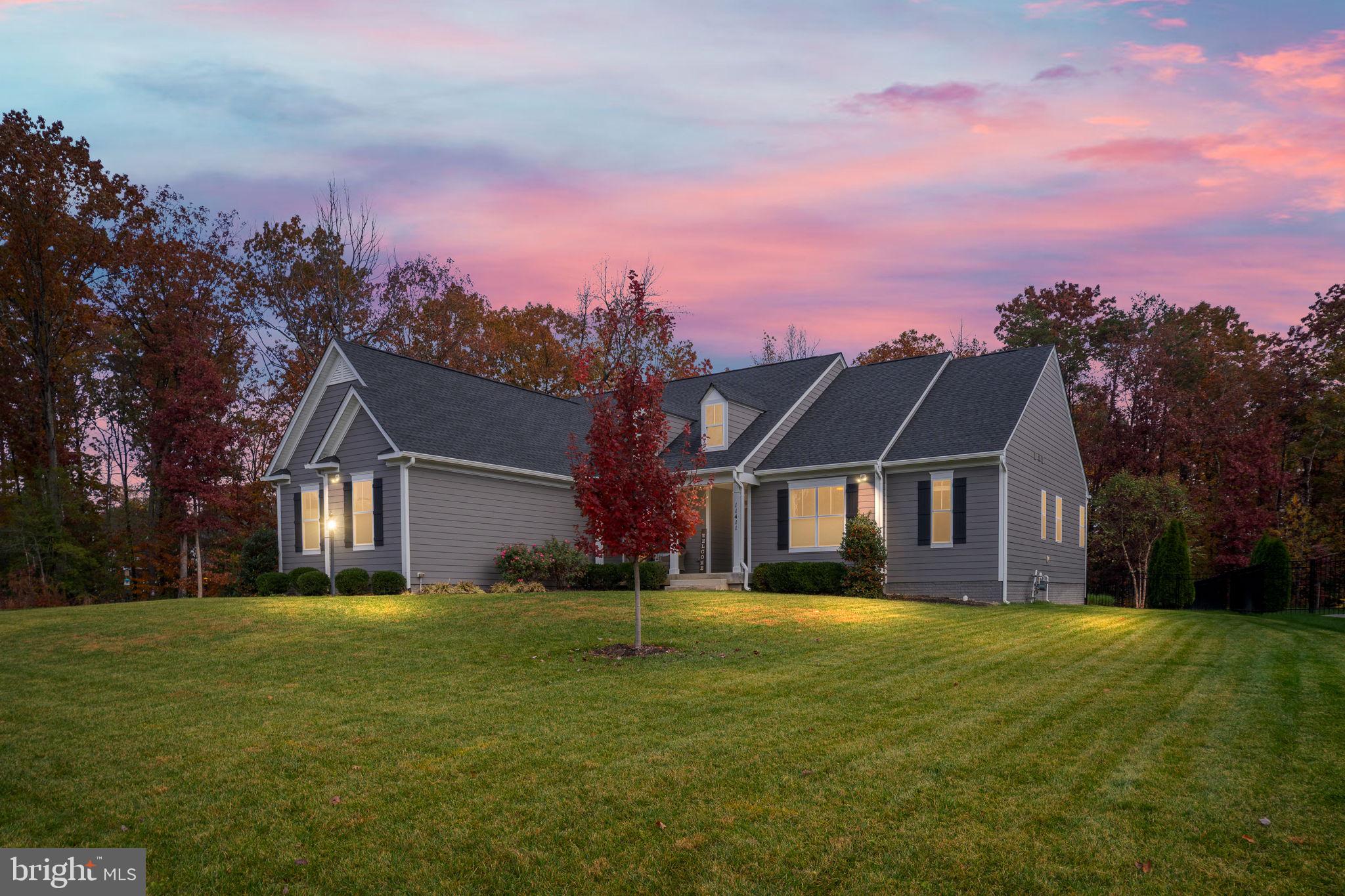 11411 STRIPED MAPLE COURT