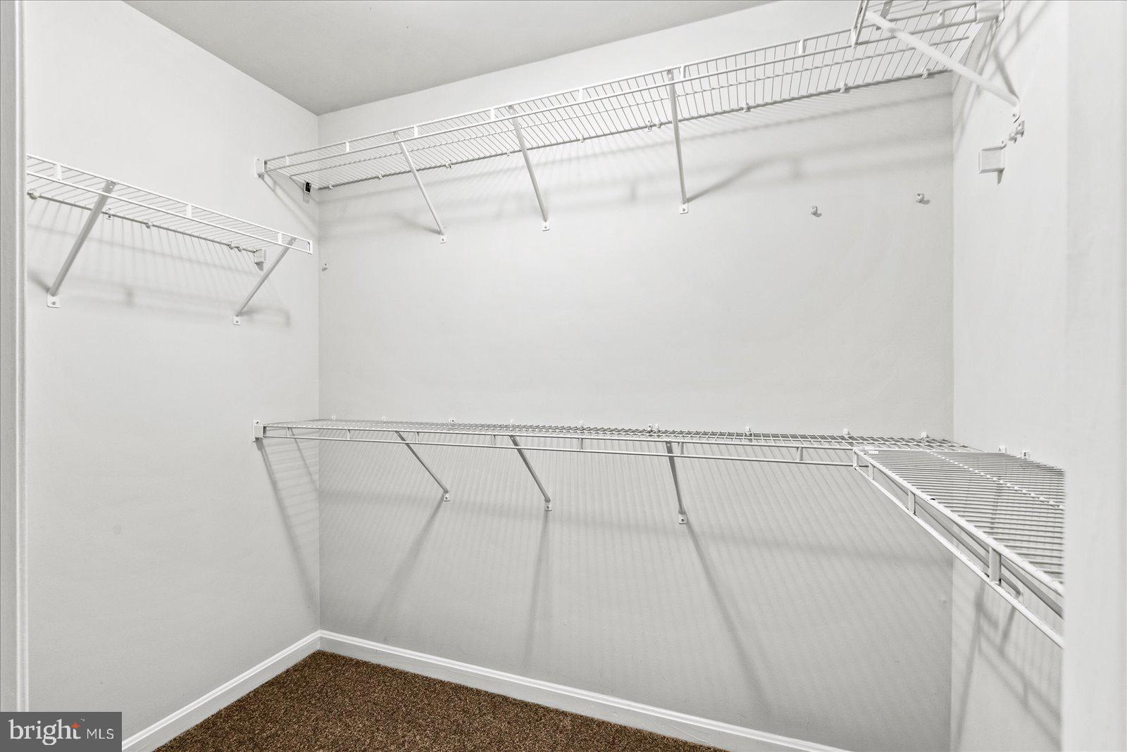 10004 SHADOWRIDGE COURT