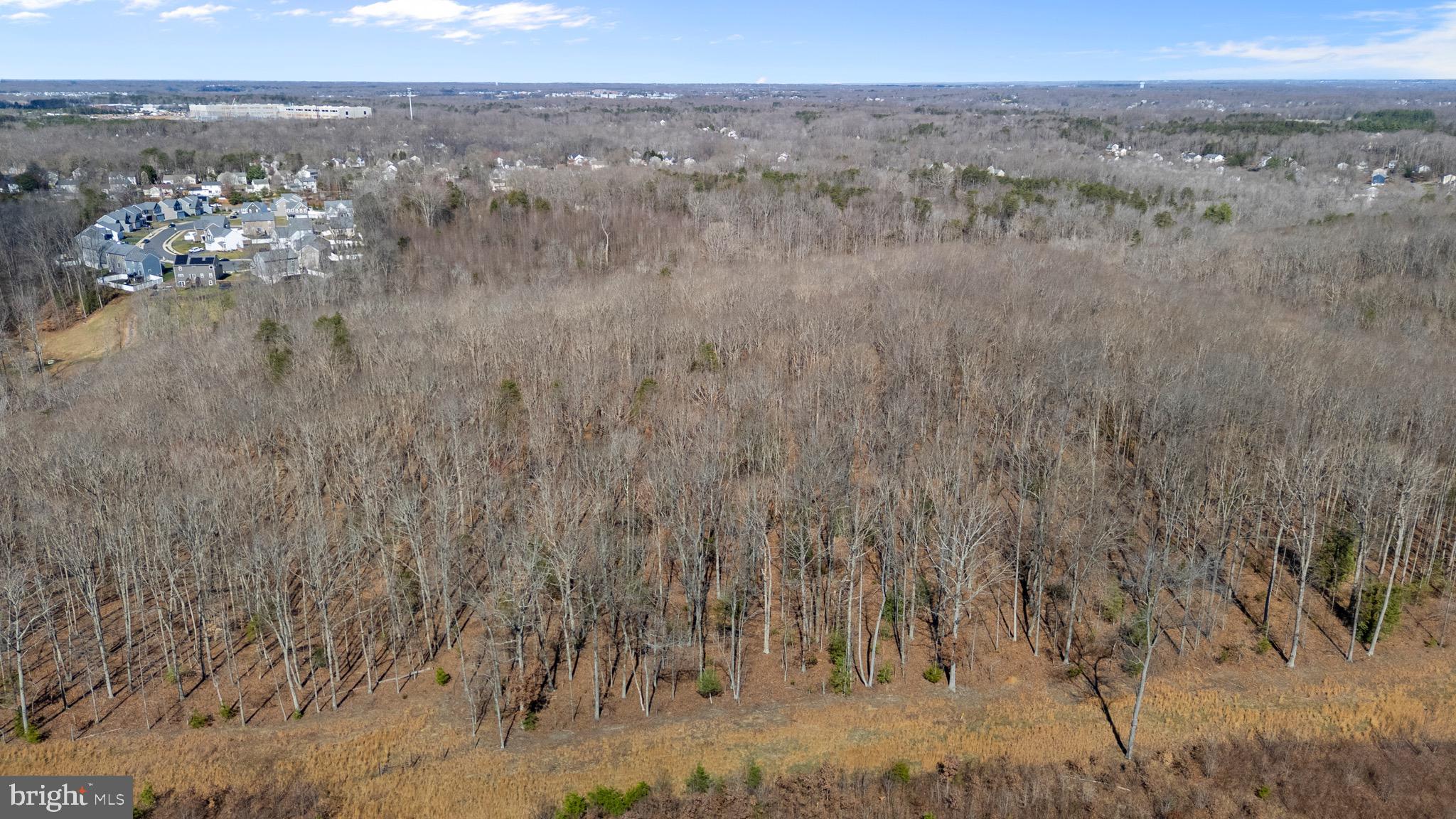 MASSAPONAX CHURCH ROAD