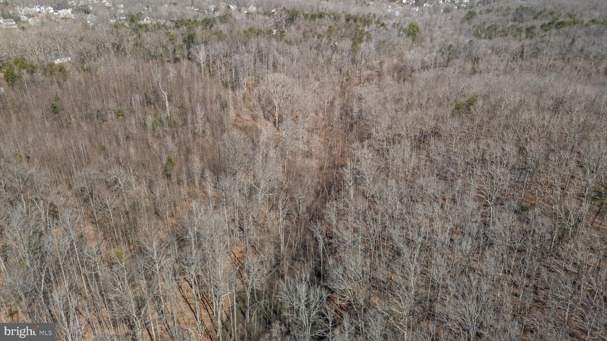 MASSAPONAX CHURCH ROAD