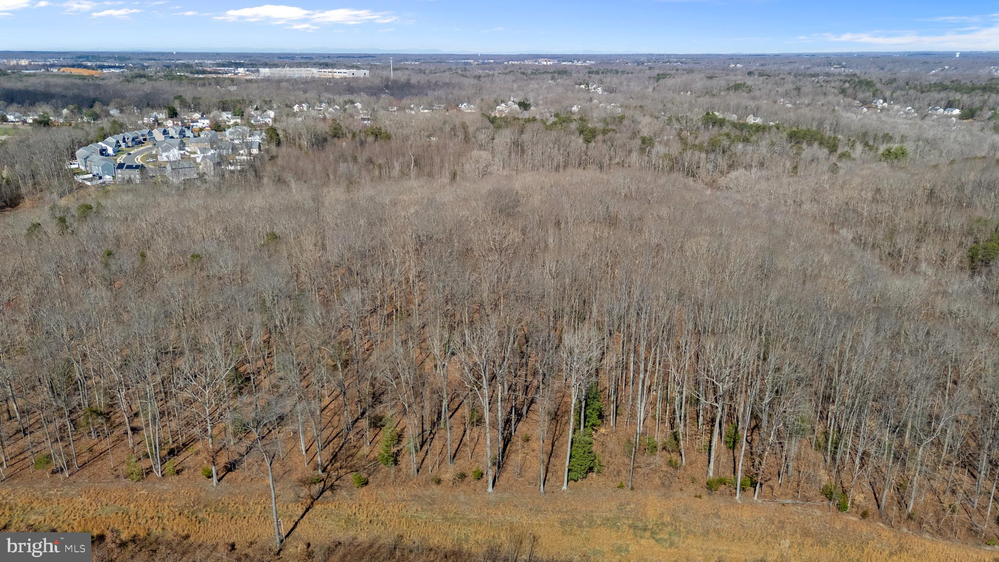 MASSAPONAX CHURCH ROAD