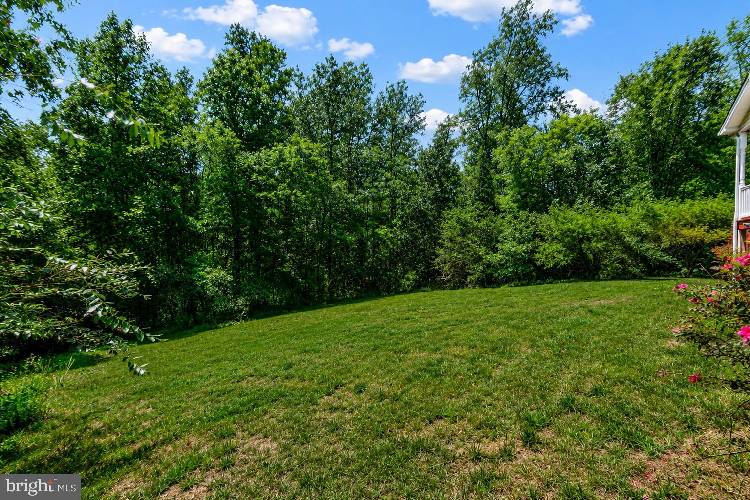 5621 TOWLES MILL ROAD