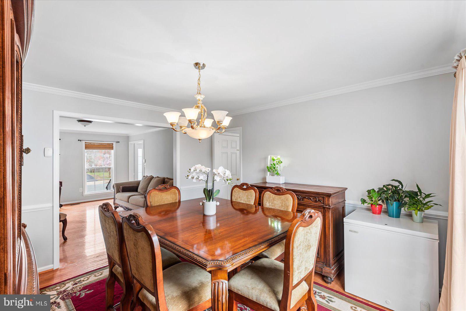 34 SAINT ADAMS DRIVE