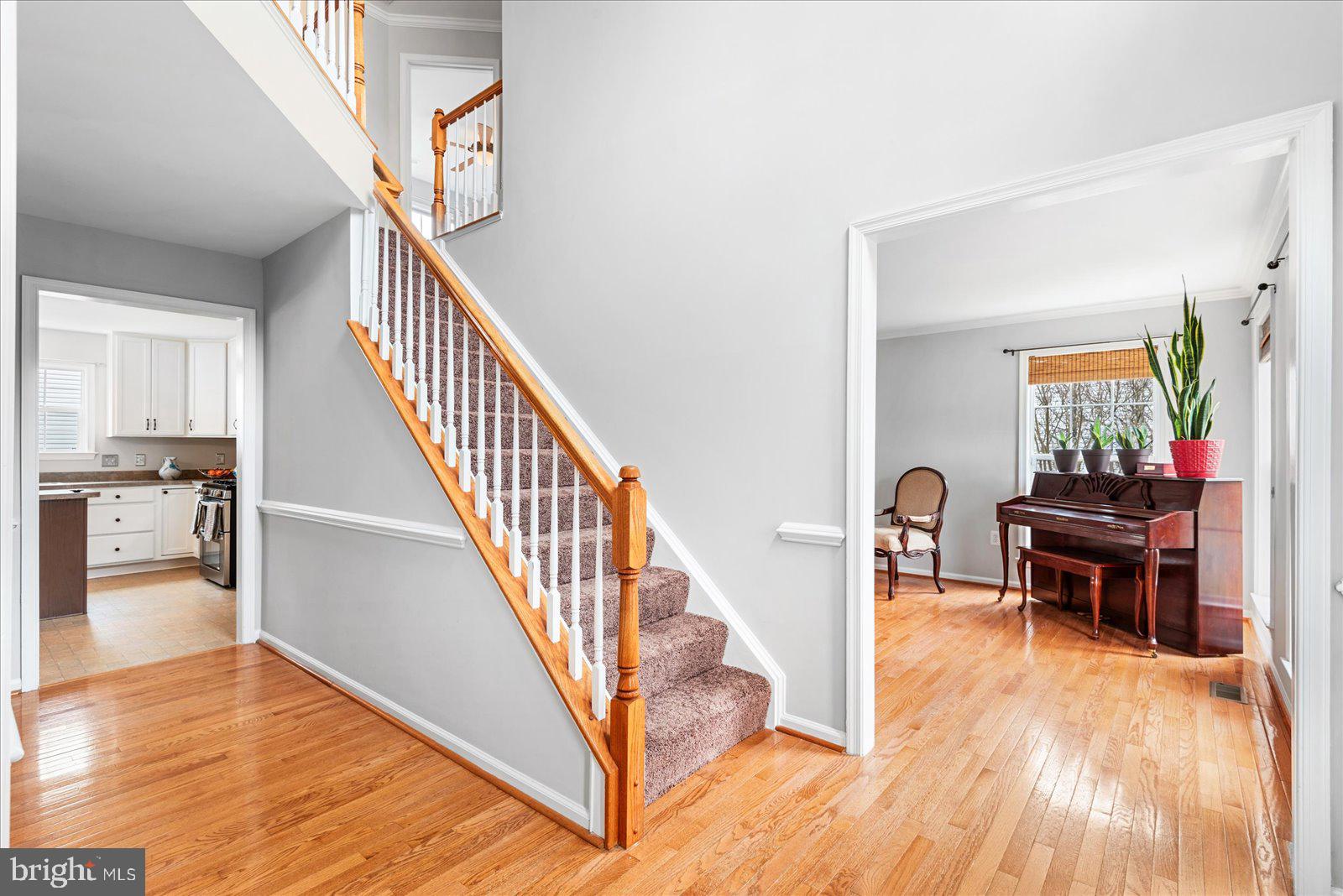 34 SAINT ADAMS DRIVE