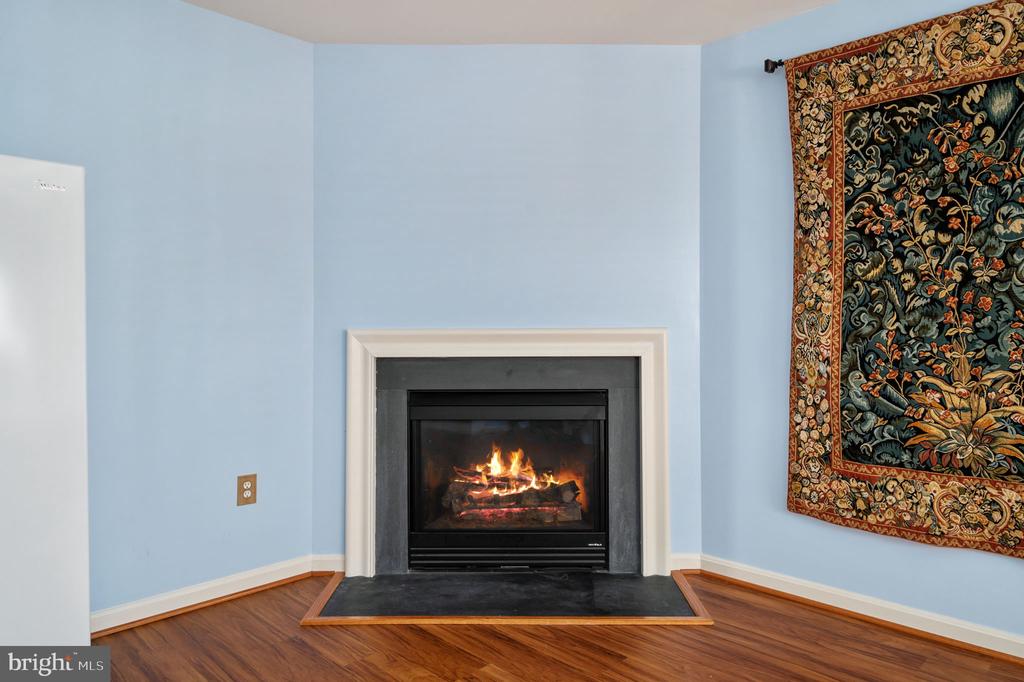 217 CHESTERBROOK COURT