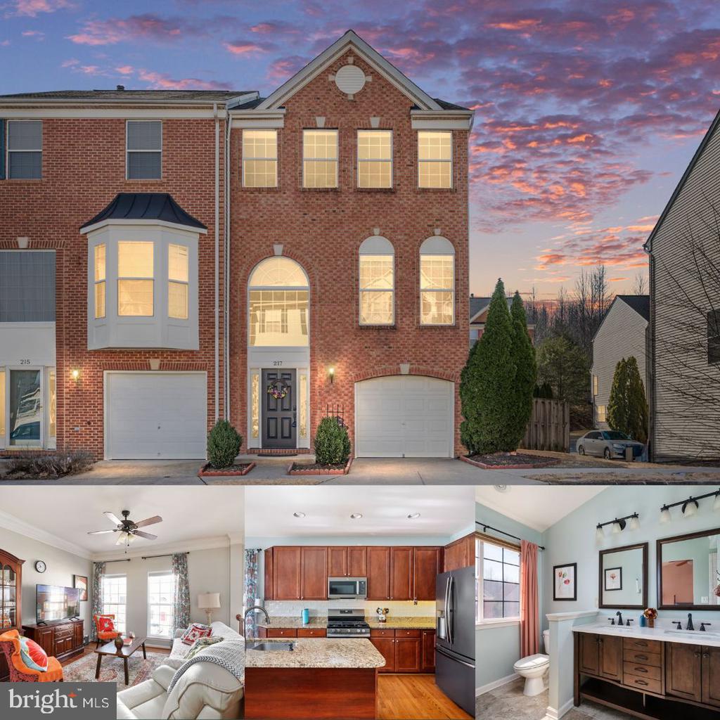 217 CHESTERBROOK COURT