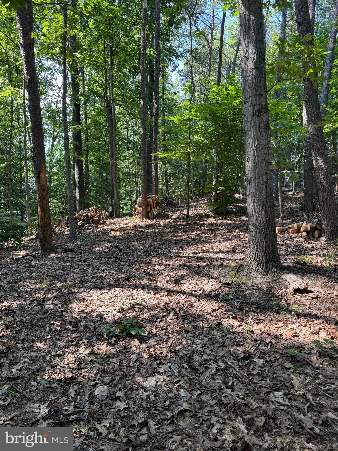 2036 COAST GUARD DRIVE