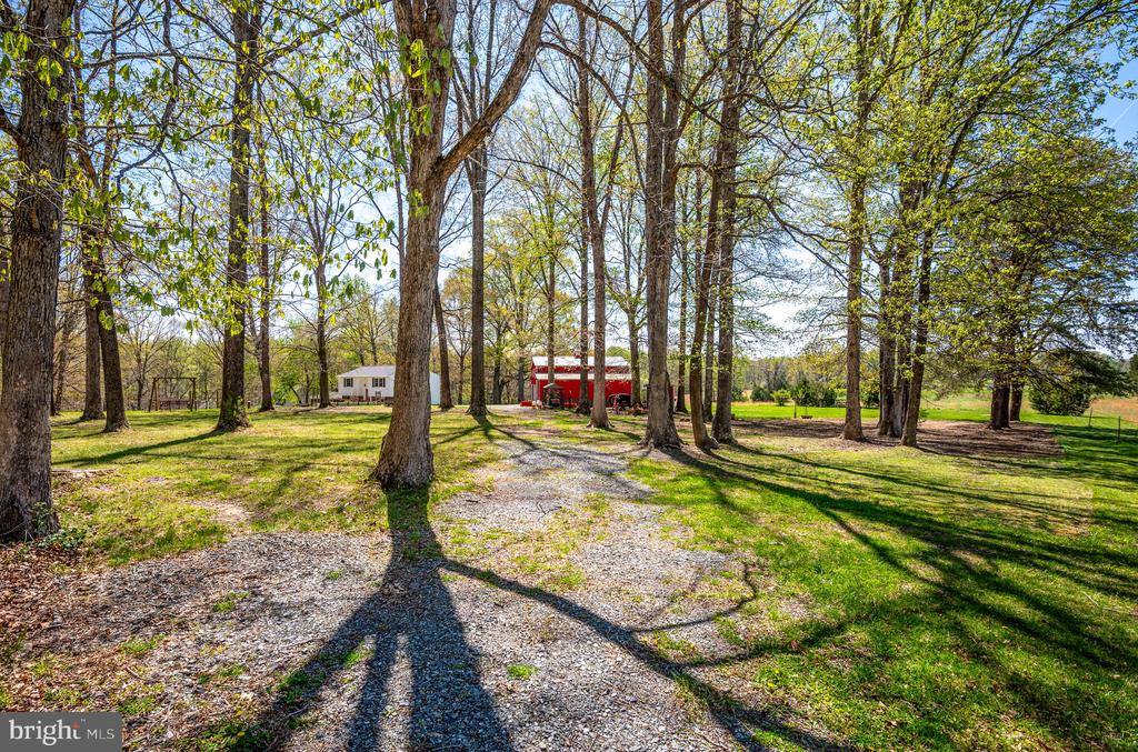 38 FIRE TRAIL LANE